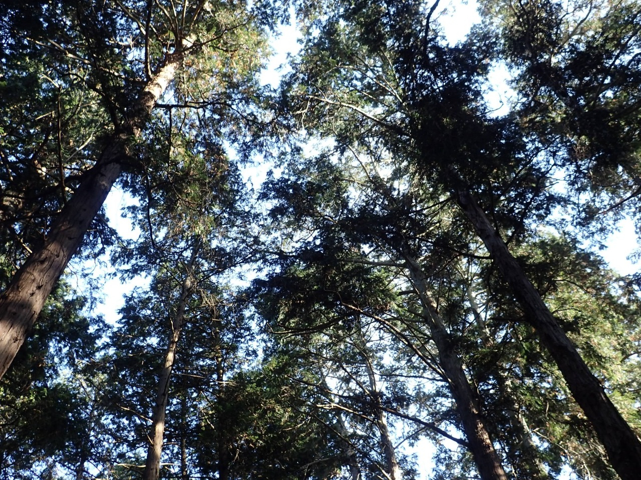 PC310244.JPG