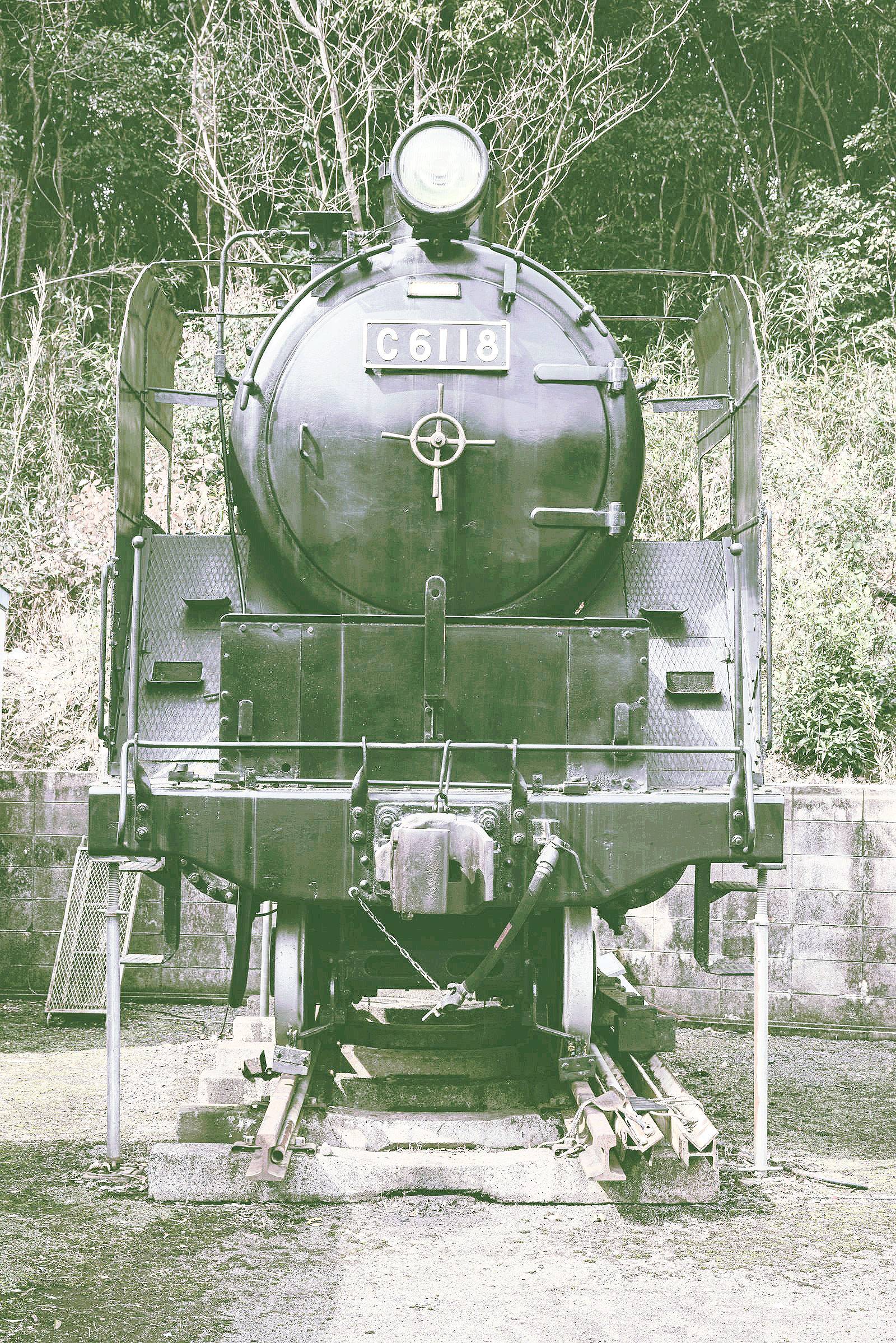 00015.jpg