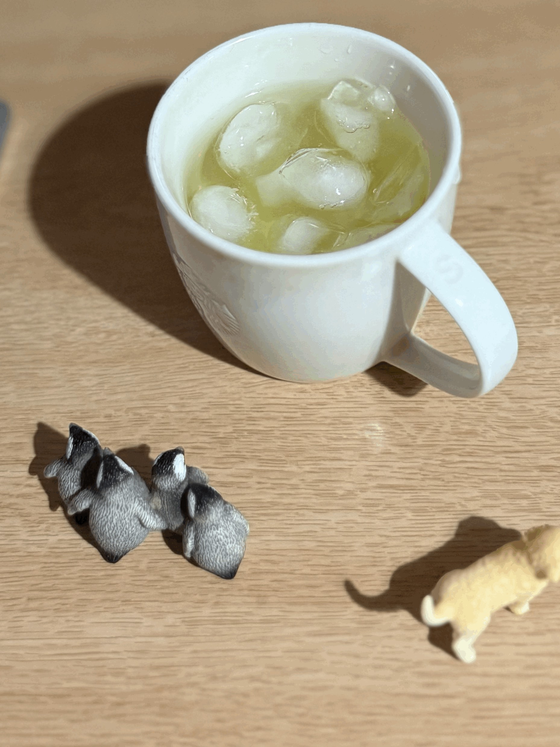 tempImageAQ5TXt.gif
