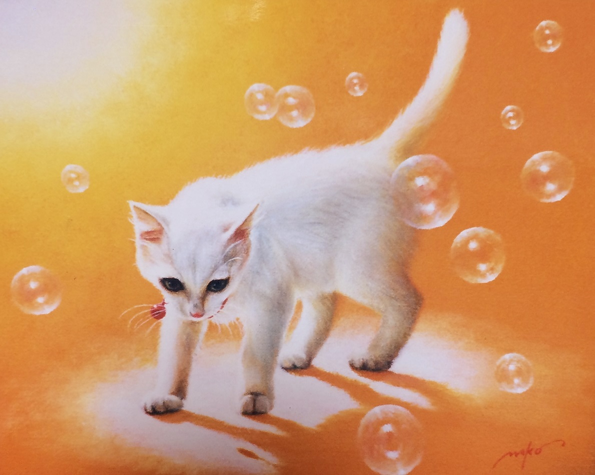 6-10.16仔猫物語.JPG