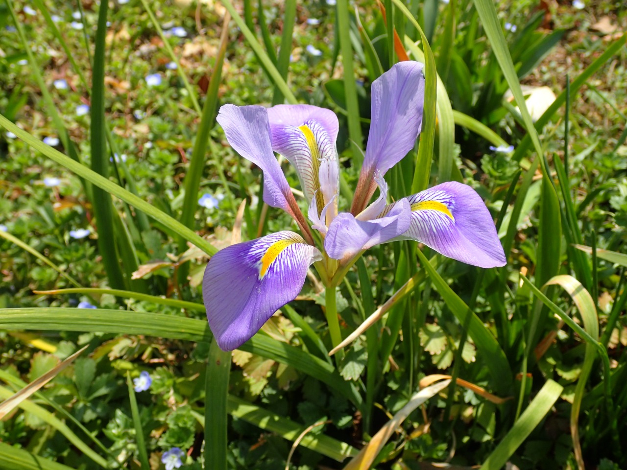 P3170542.JPG