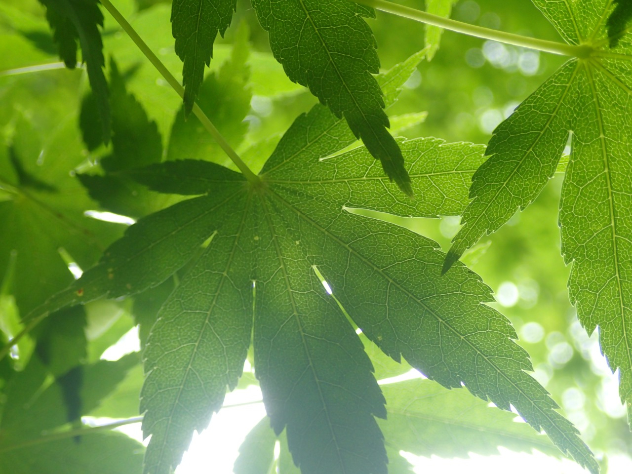 04.JPG