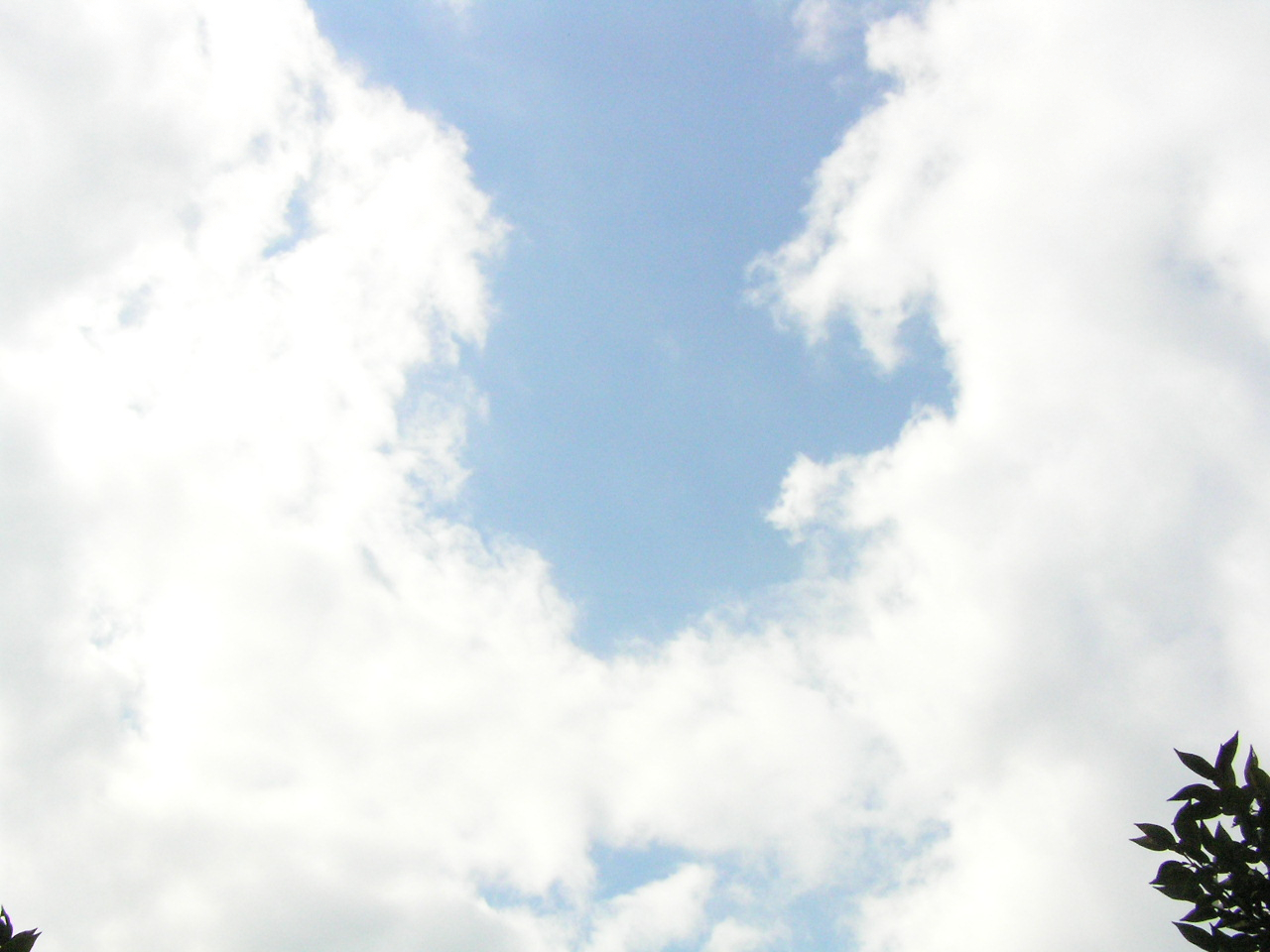PA260070.JPG