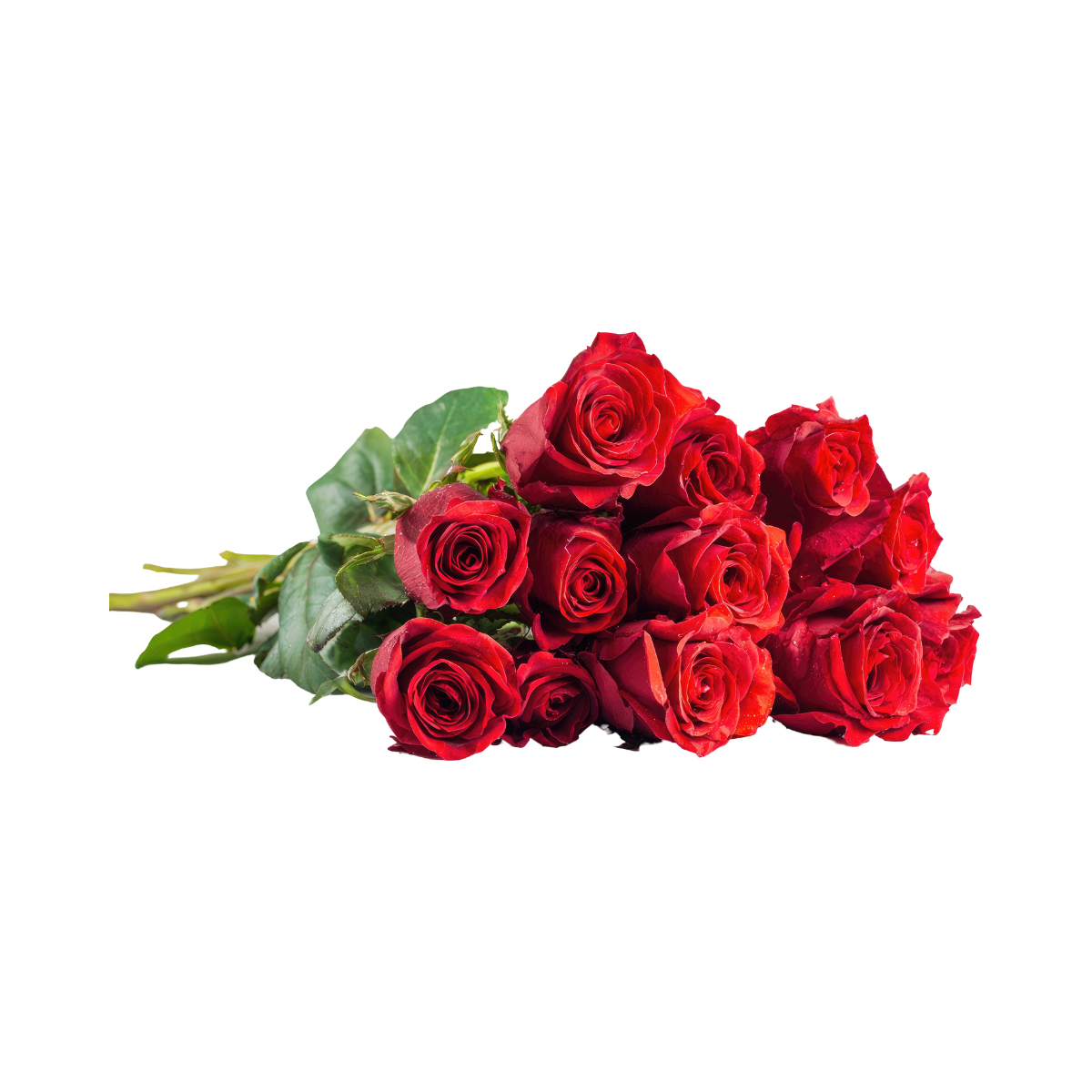 note記事写真 (1200 x 675 px) (1200 x 1200 px).png