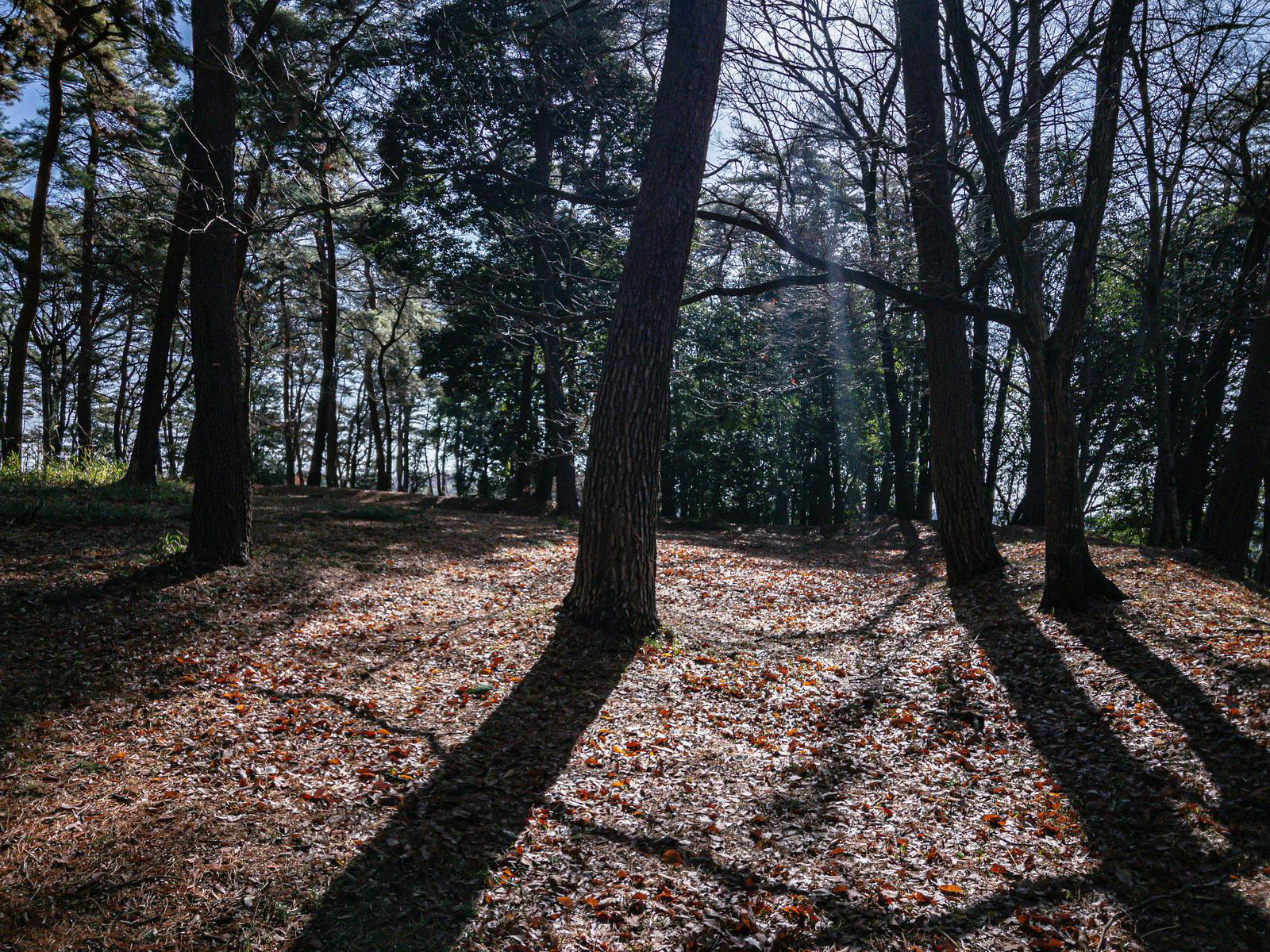 元00063.jpg