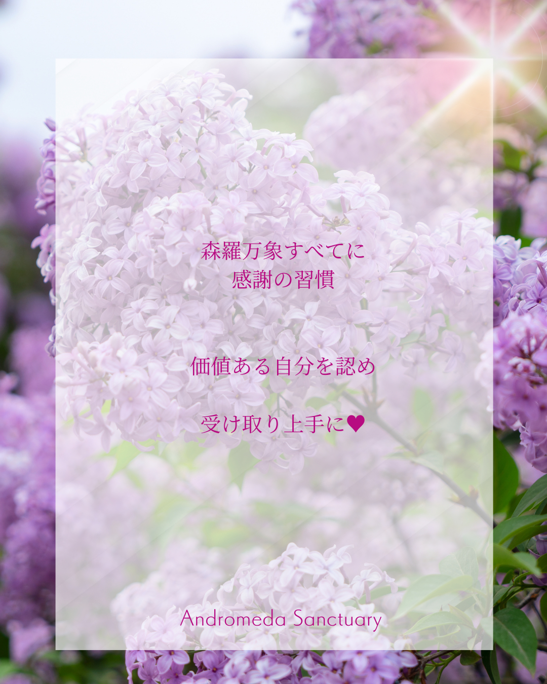 インスタ (Instagramの投稿（45）) (35).png