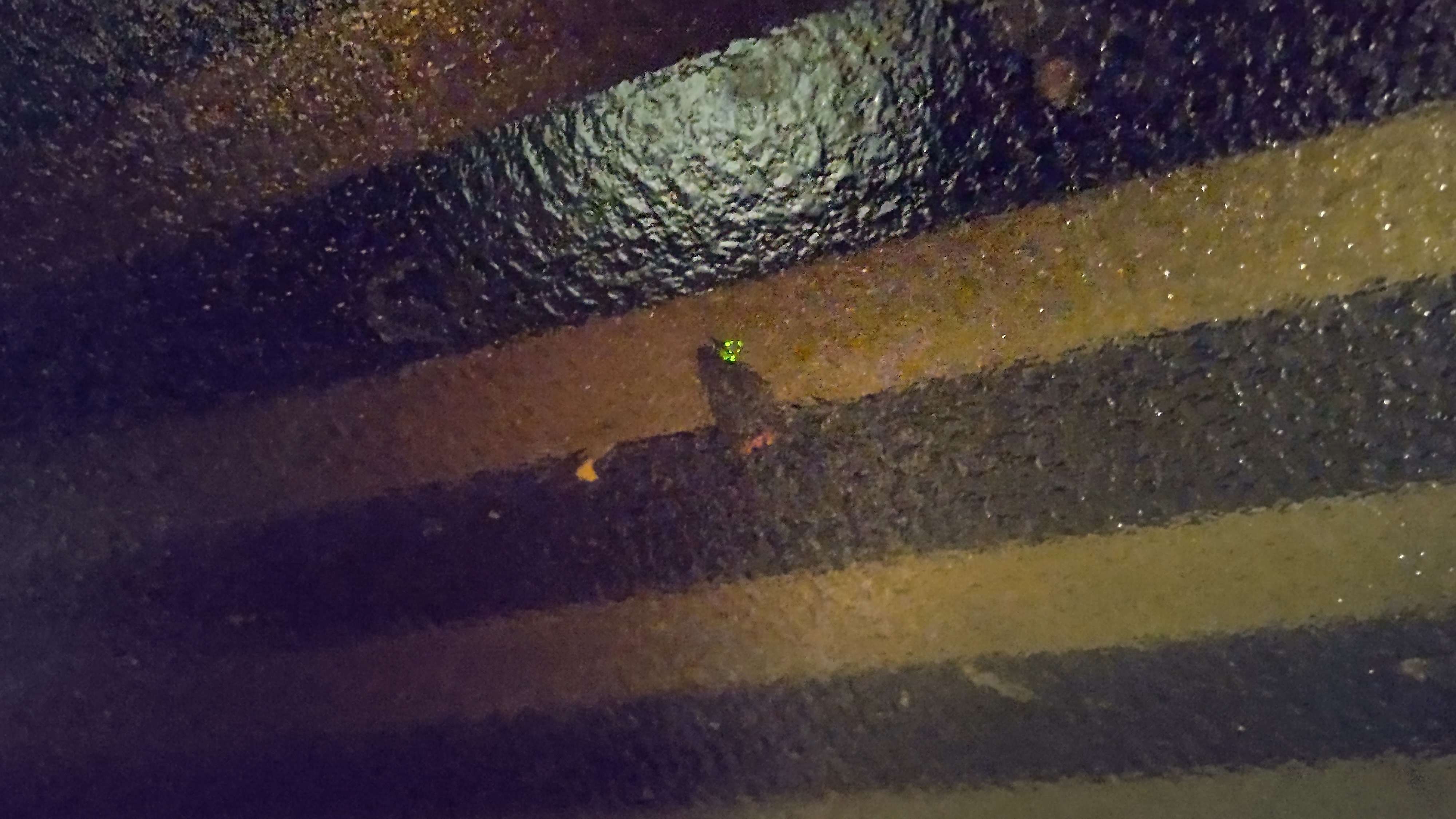 DSC_0011.JPG
