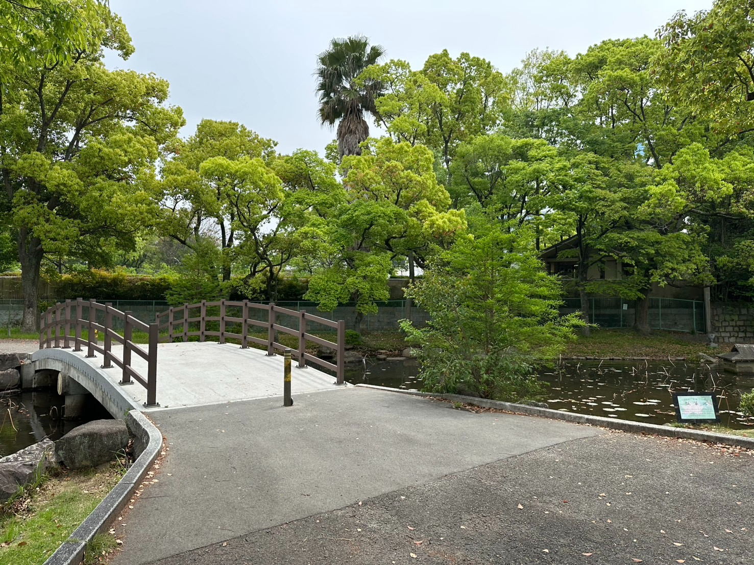 S__59908134_0.jpg