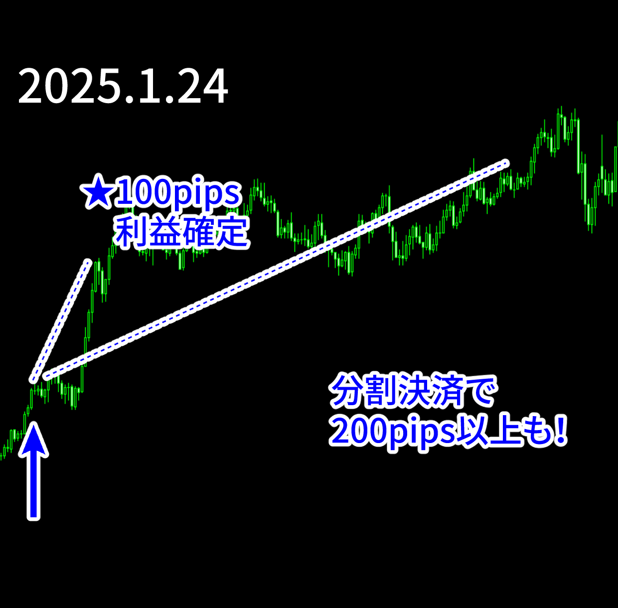 エントリー例_250124.png