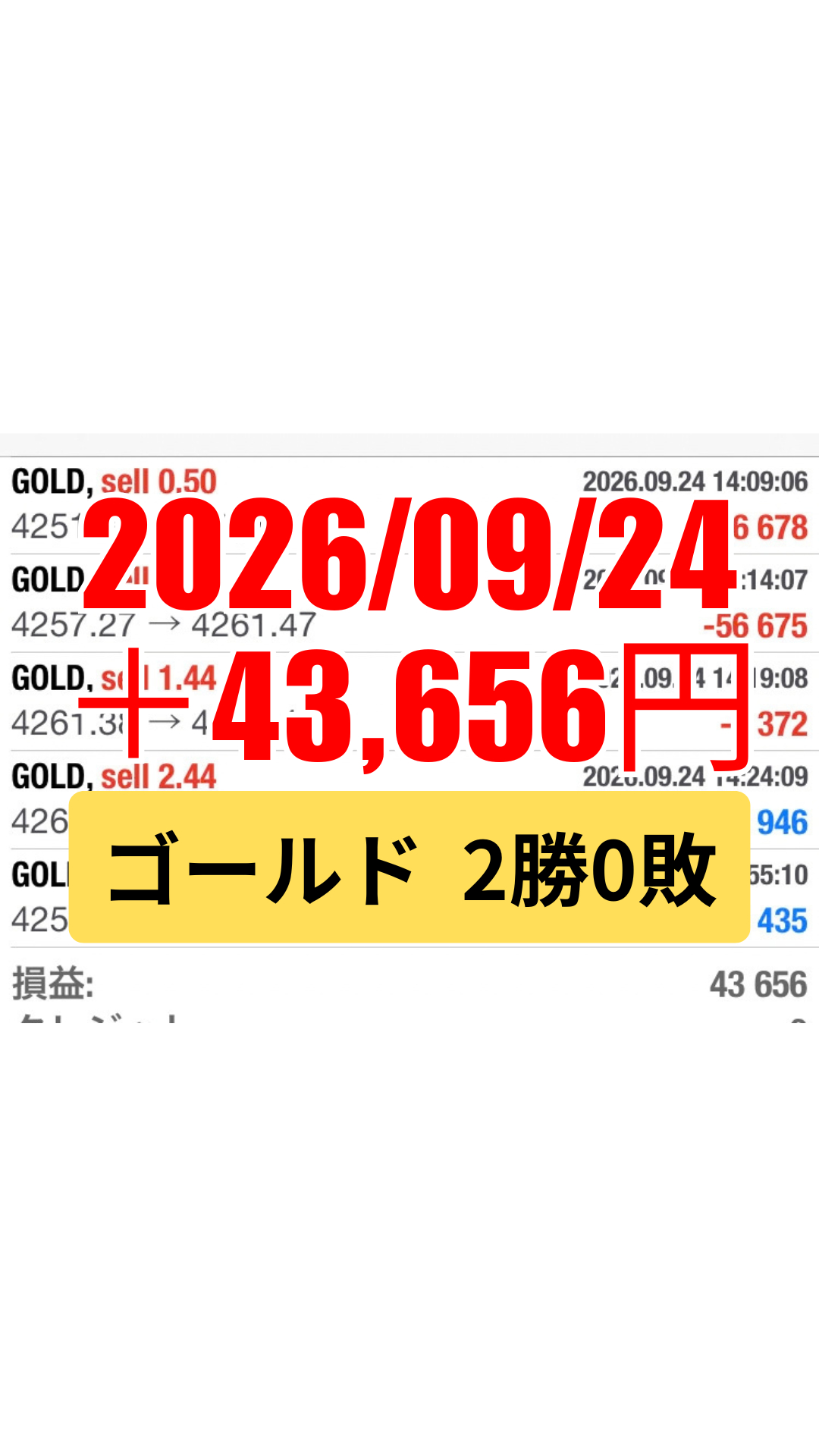ゴールド-20260924.png