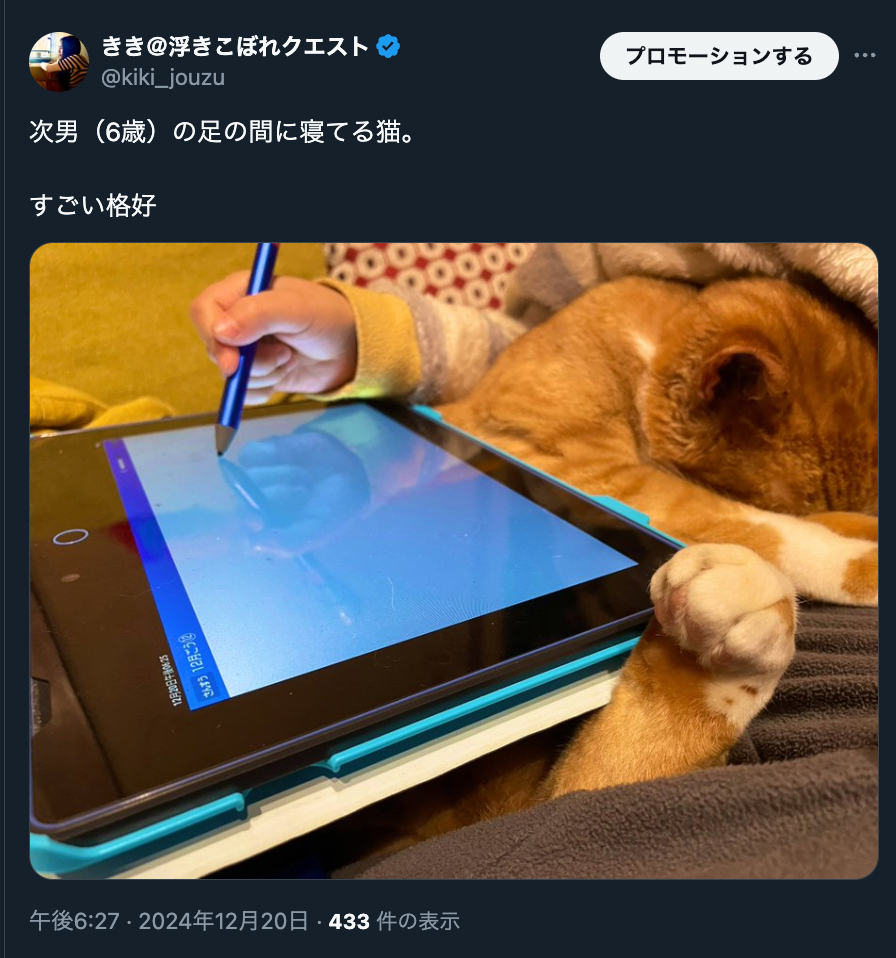 スクリーンショット 2025-01-01 12.05.21.png