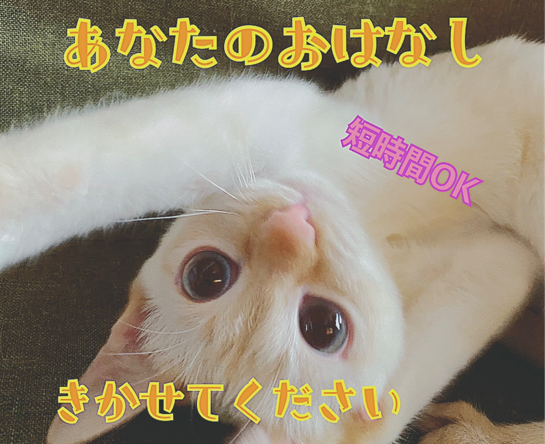 IMG_8064.jpeg