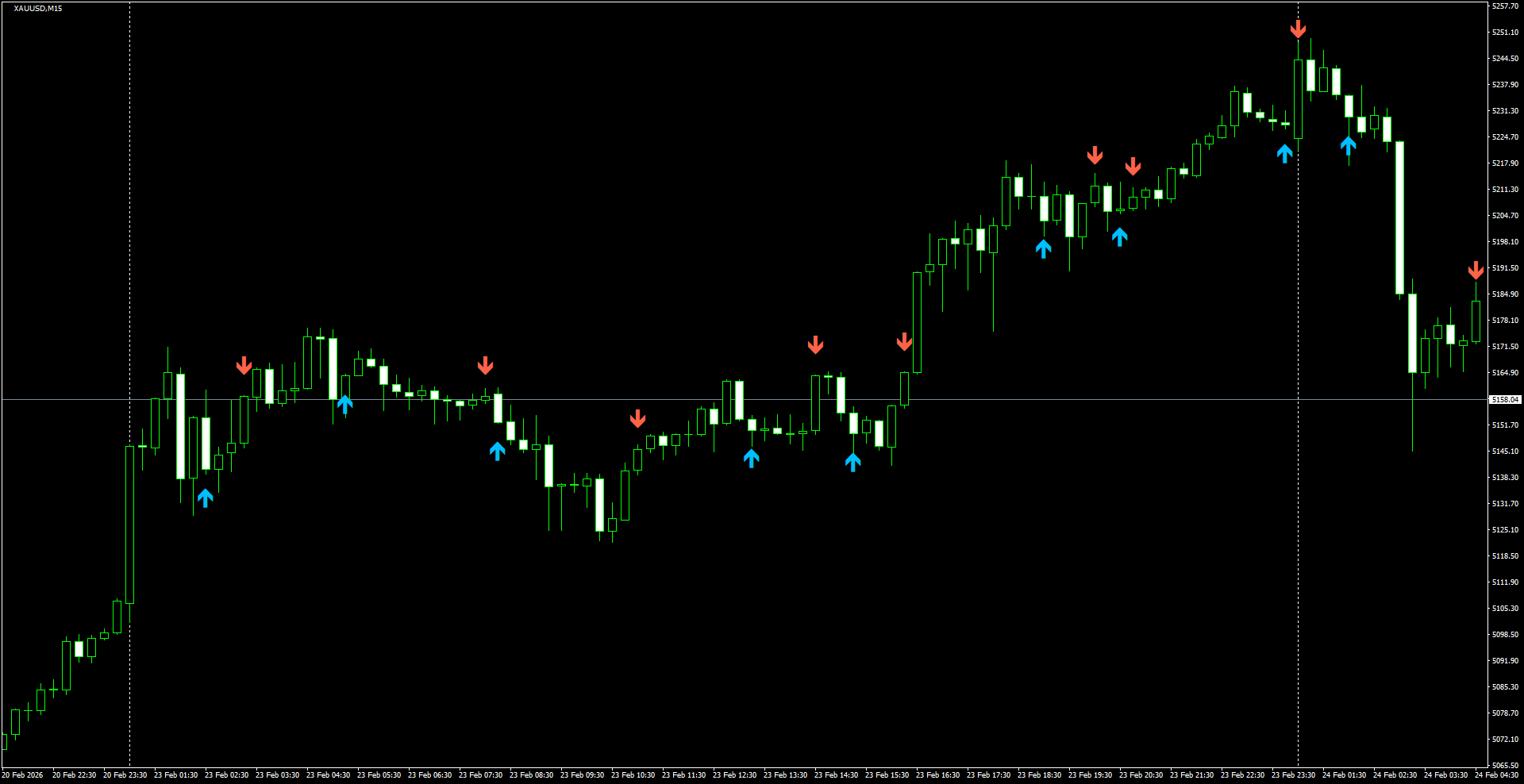 XAUUSD(M15)_2026.02.24_212201.png