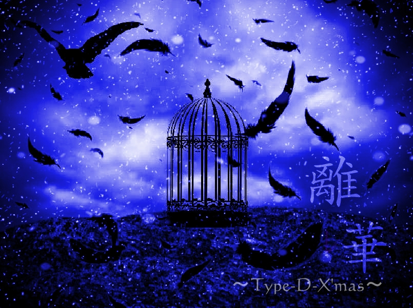 離レ華～Type-D-X'mas～.jpg