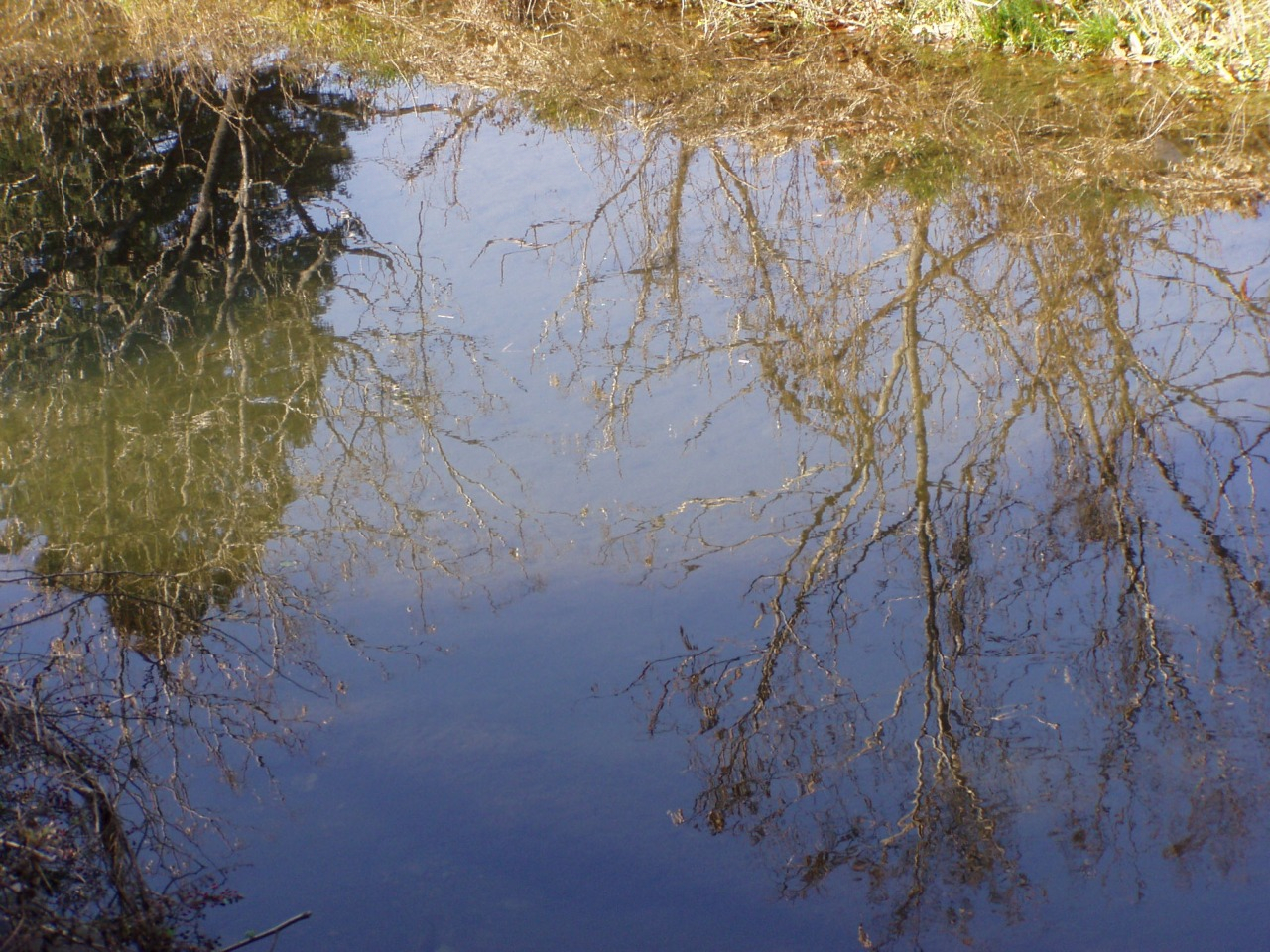 P1010033.JPG