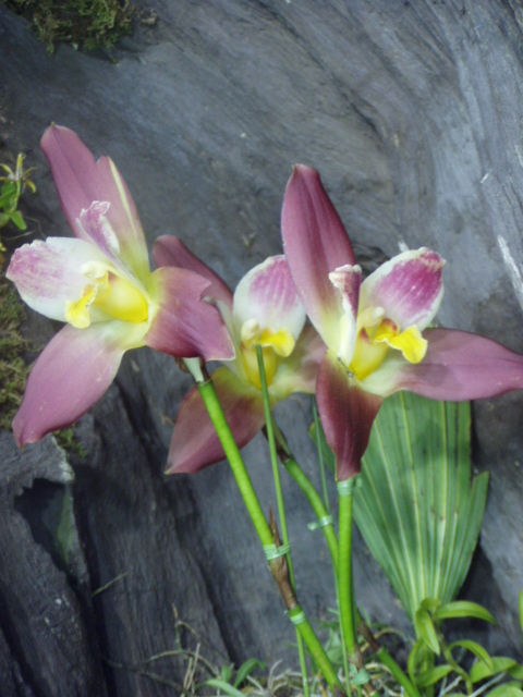P1010164.JPG