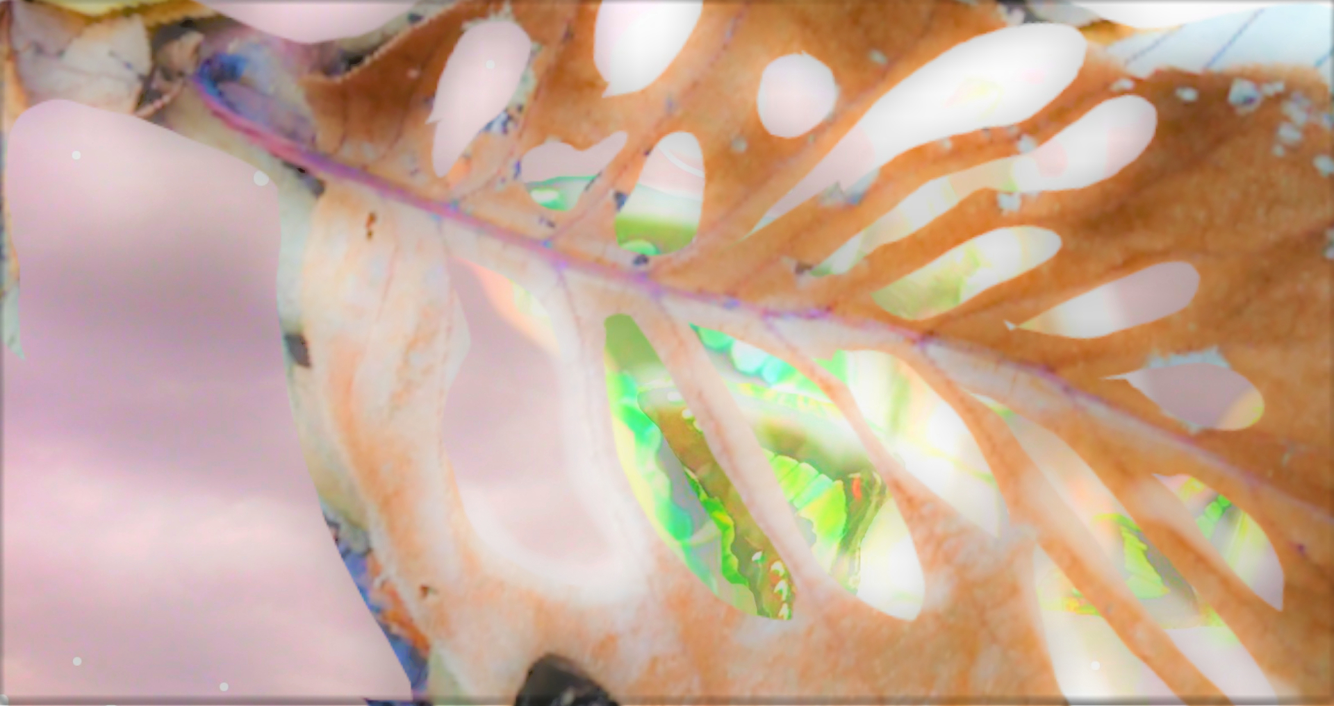sketch-1669870641262 (2)0.png
