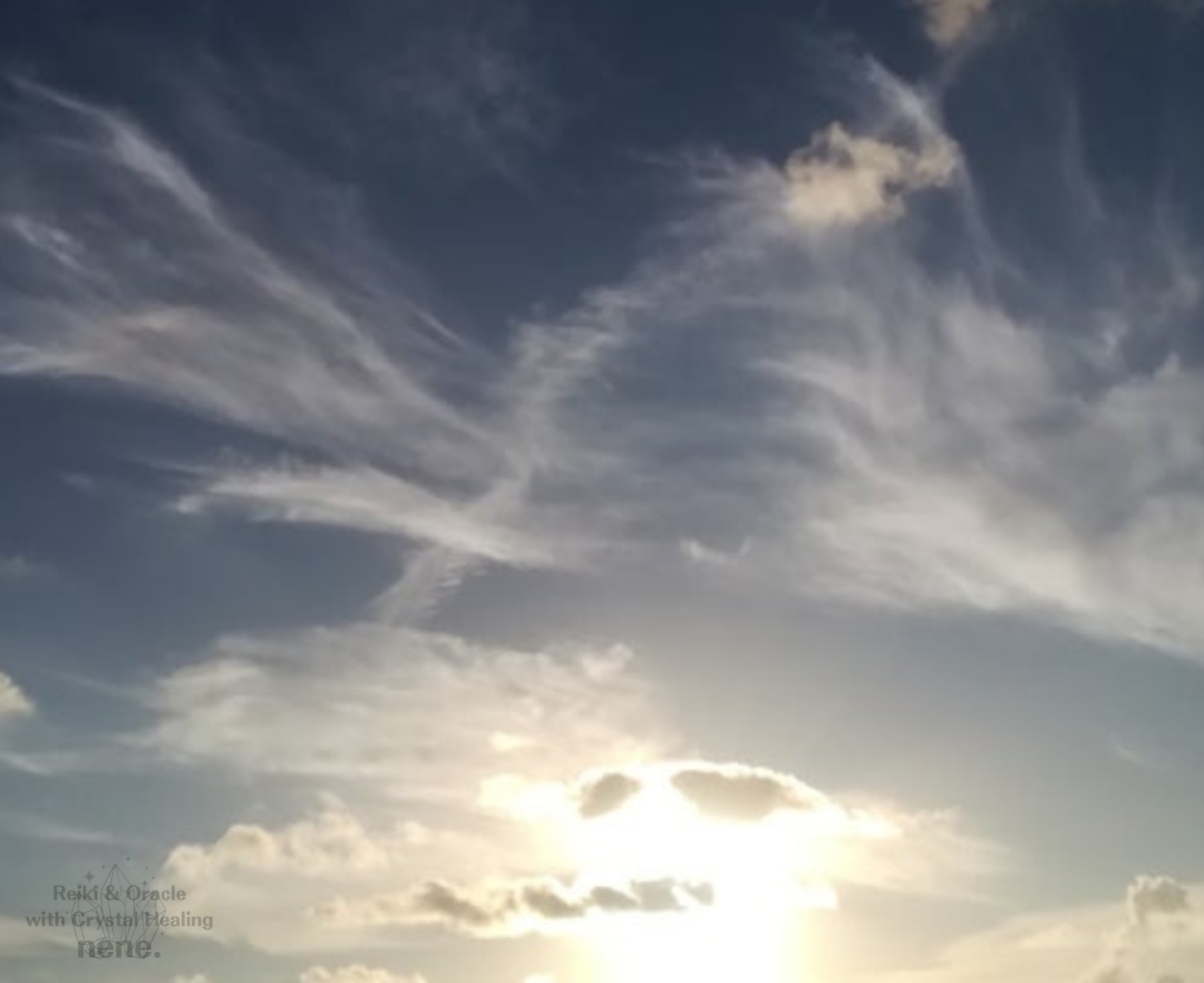 鳳凰１.png