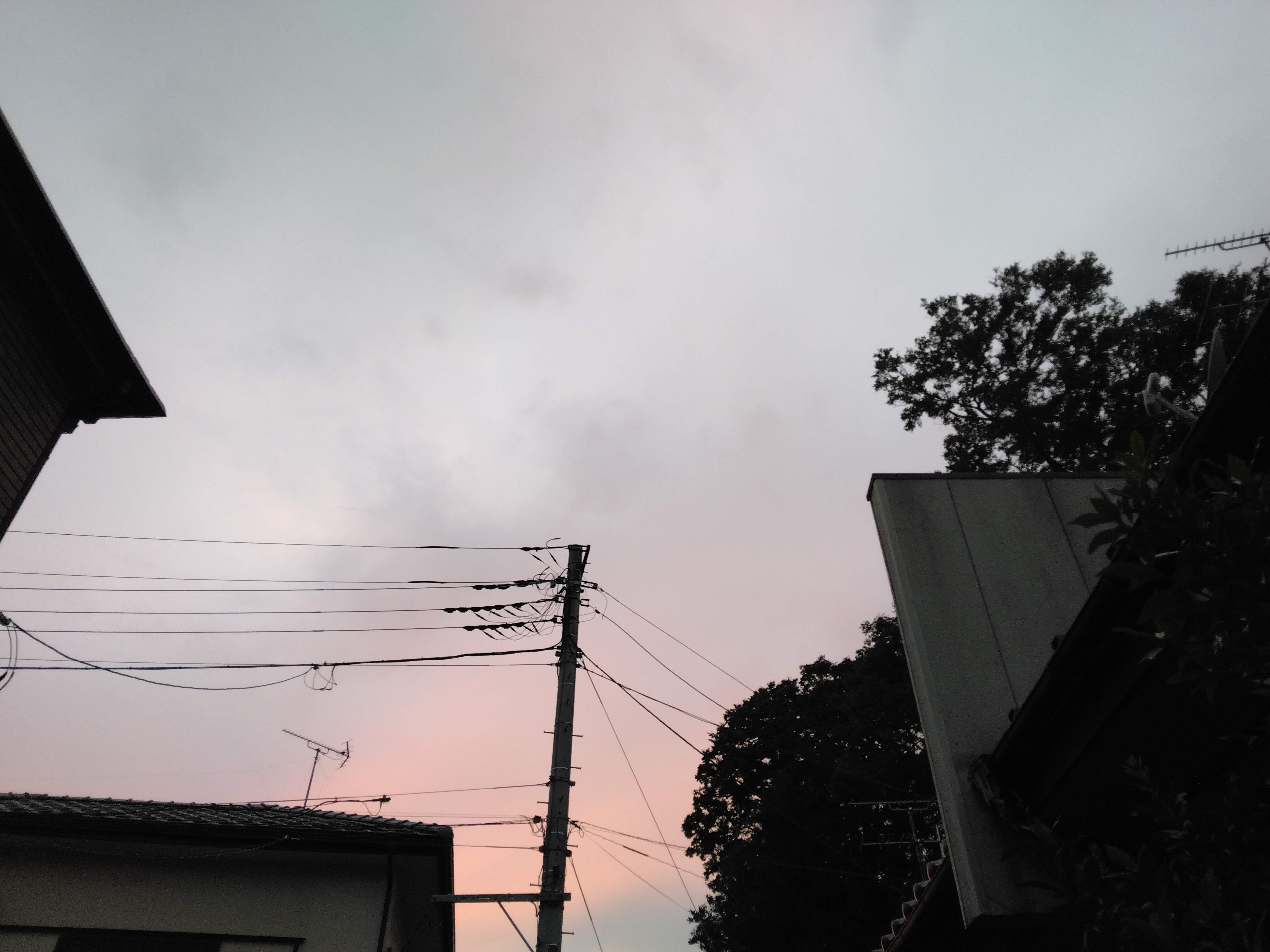 IMG_20240930_172313.jpg