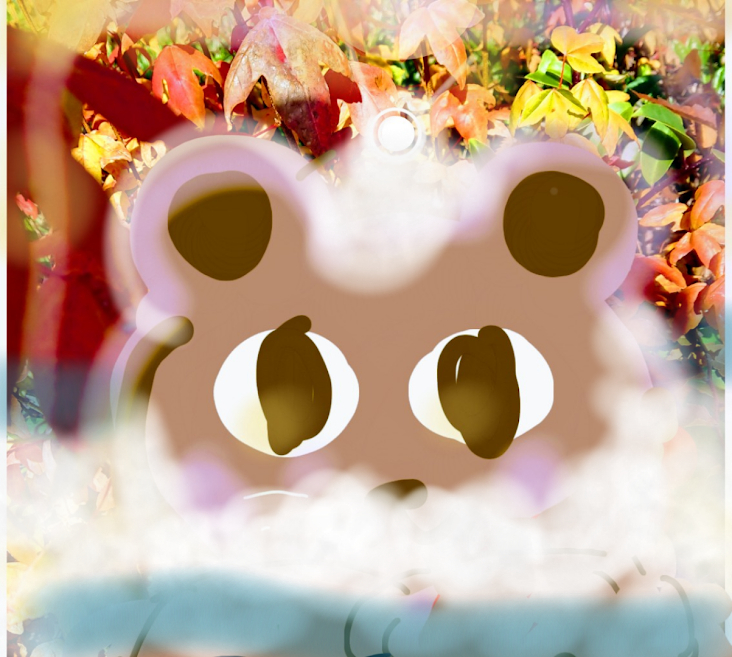 sketch-1671667834287.png