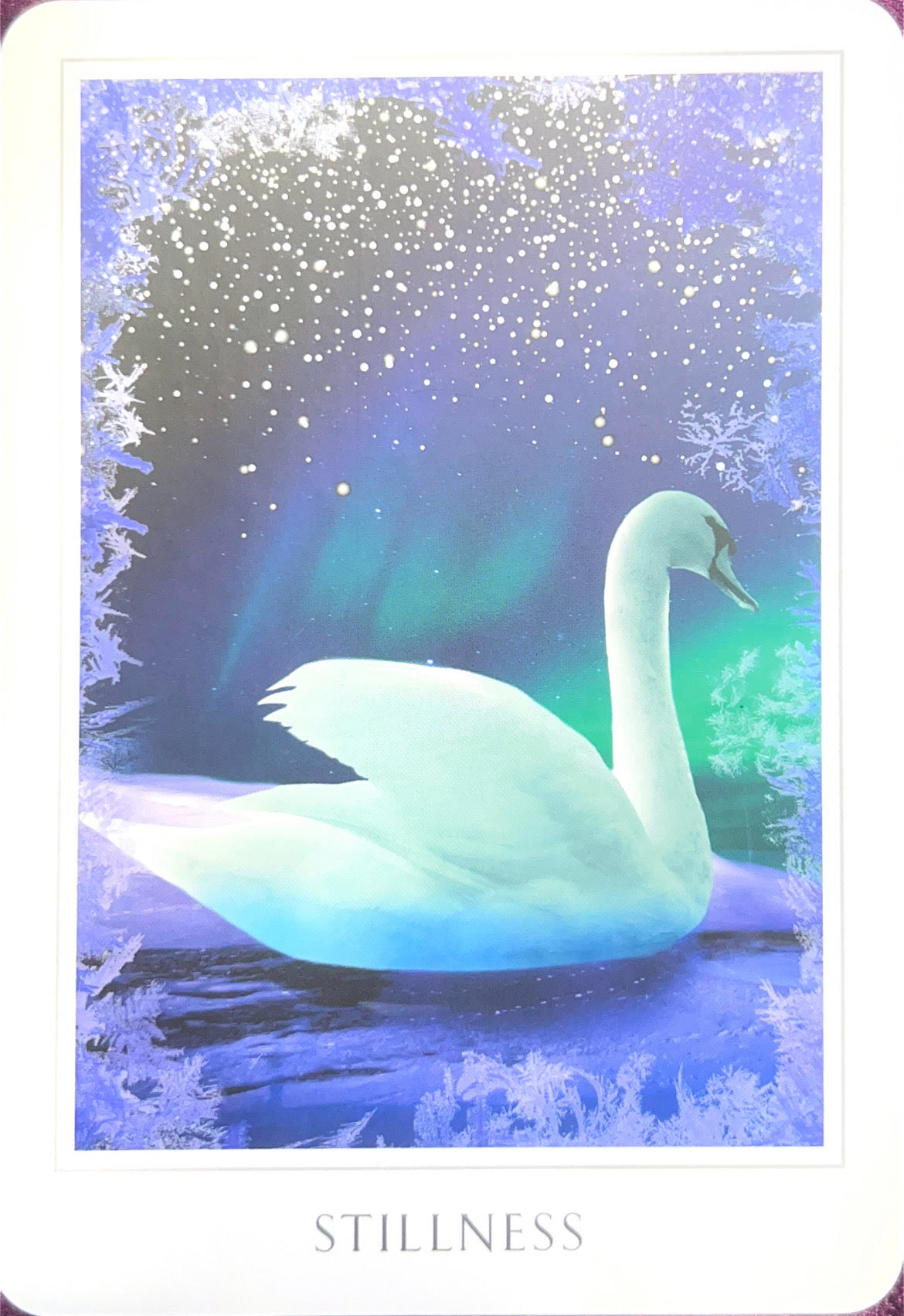 オラクルSTILLNESS.jpg