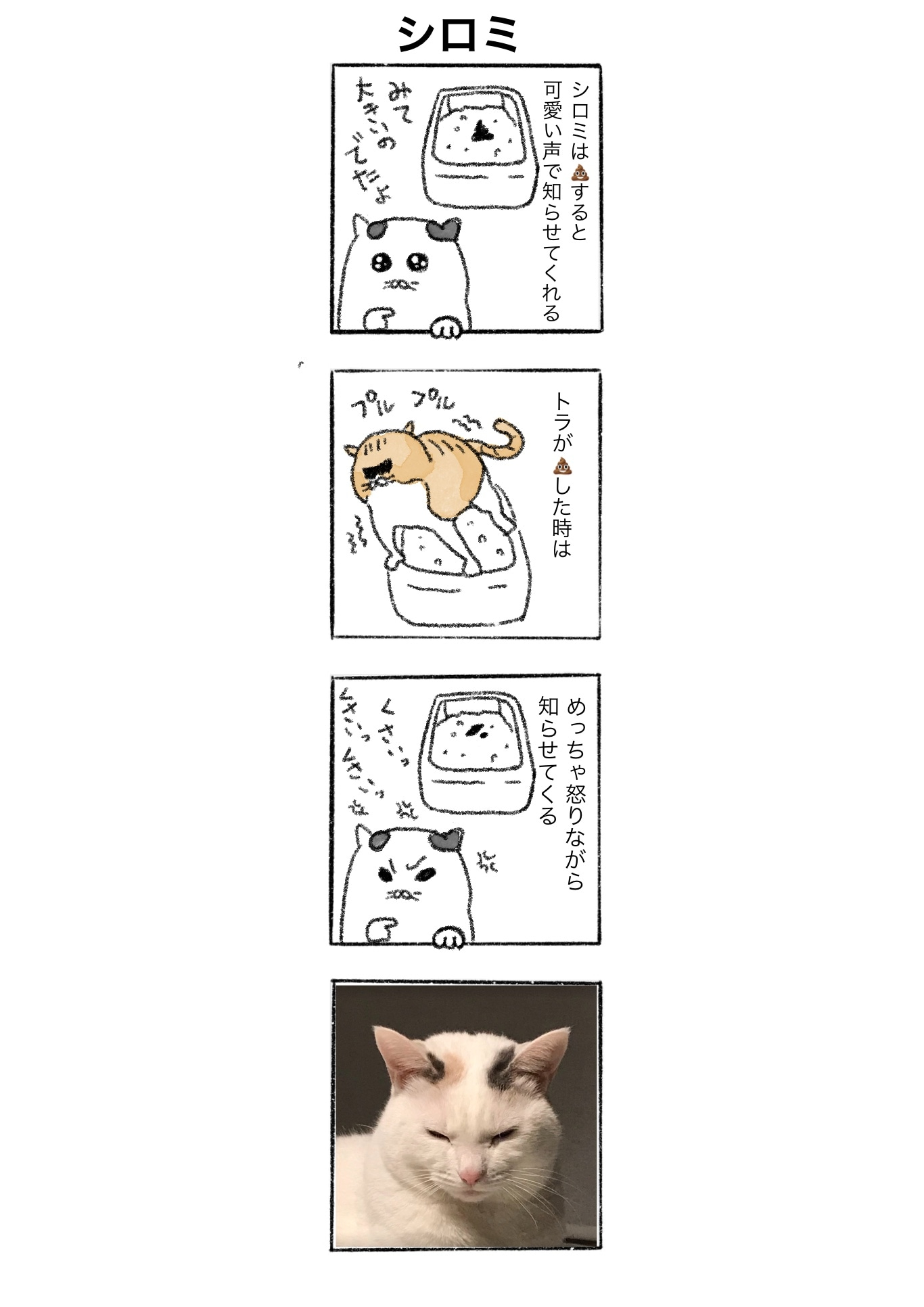 10570c9a5cbd2c408e4cf1577a56d72b.jpg