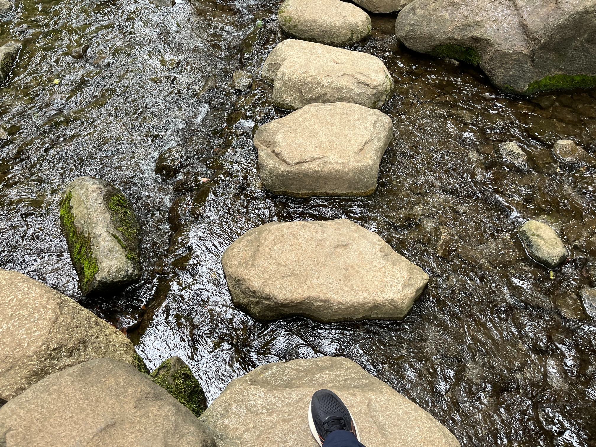 IMG_5913.jpeg
