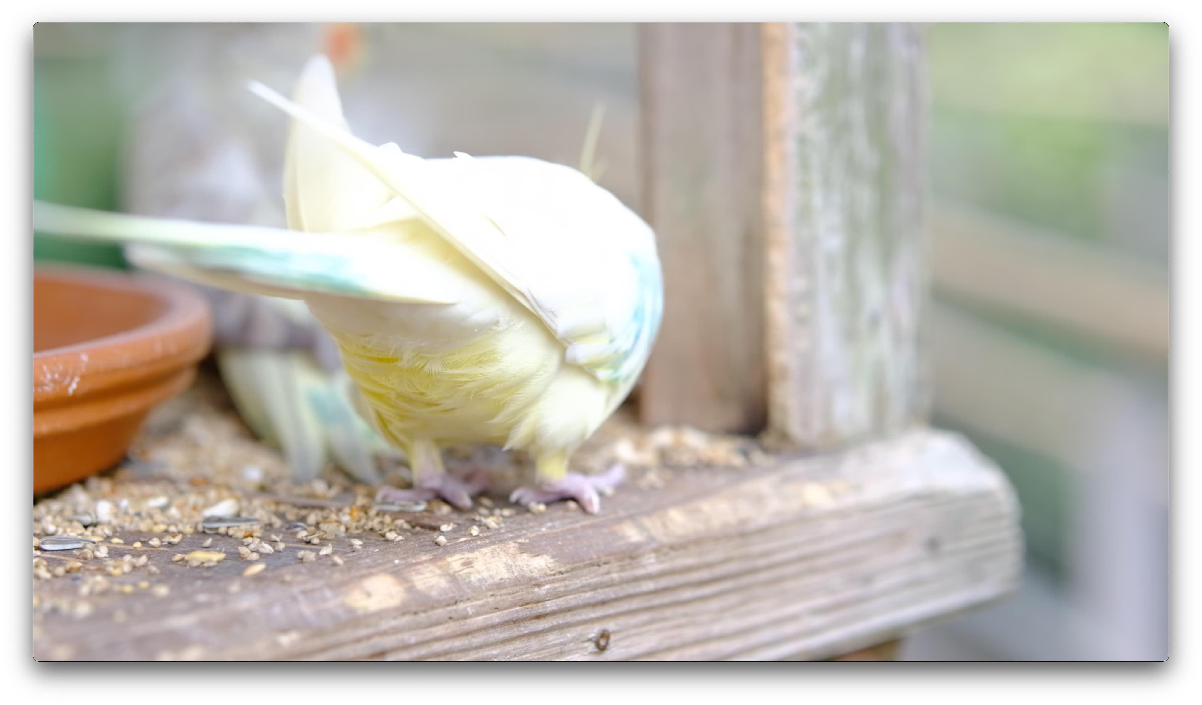 スクリーンショット 2025-03-02 22.19.06.png