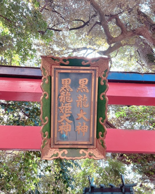 黒龍様のお力で次元上昇　黒龍様　龍宮神369叶龍大.jpeg