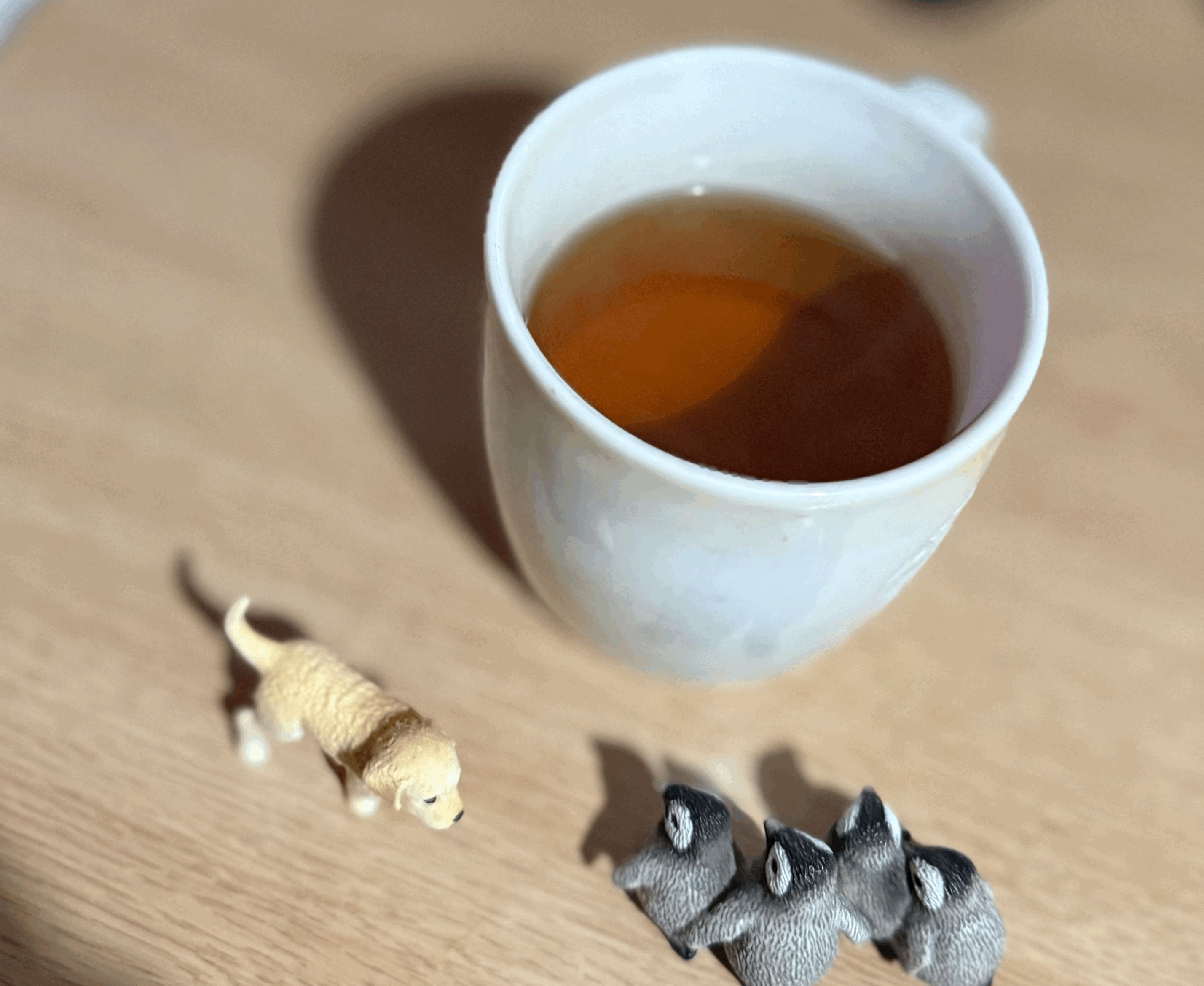 tempImageyK9Mxr.gif