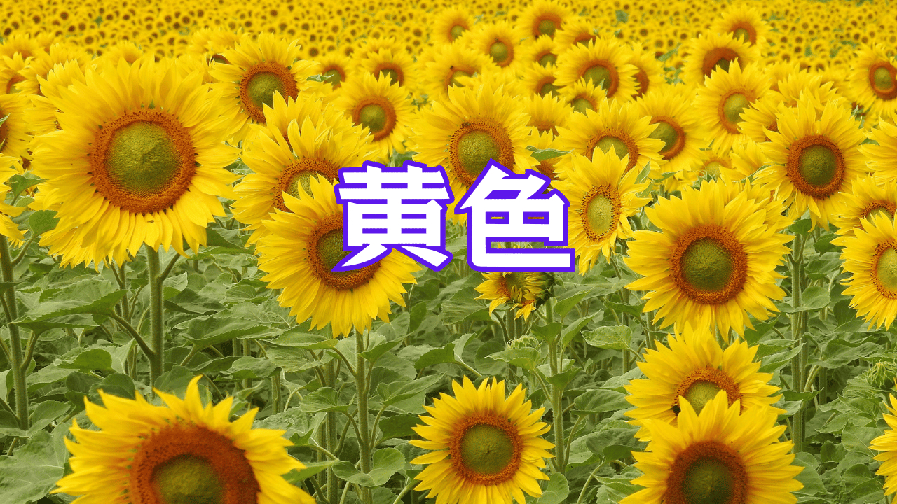 見出しを追加 (27).png
