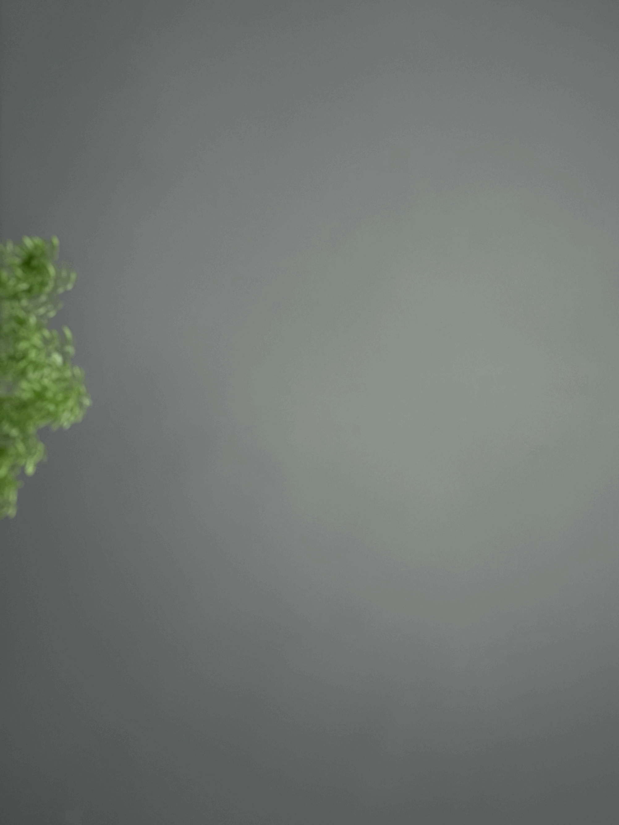 tempImageXUcdax.gif
