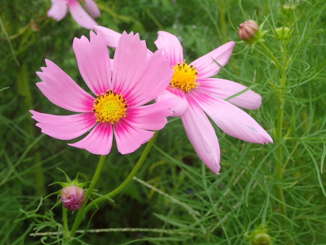 P9200008.JPG