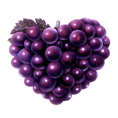 1997_F5_ill_mtl_Fee_09_01.png