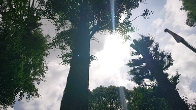 DSC_1062_copy_1376x774.jpg