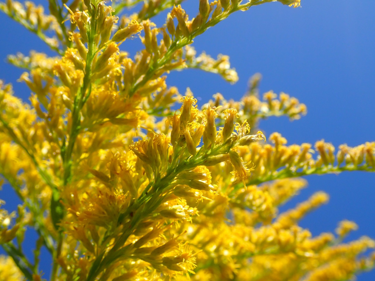 PA220610.JPG