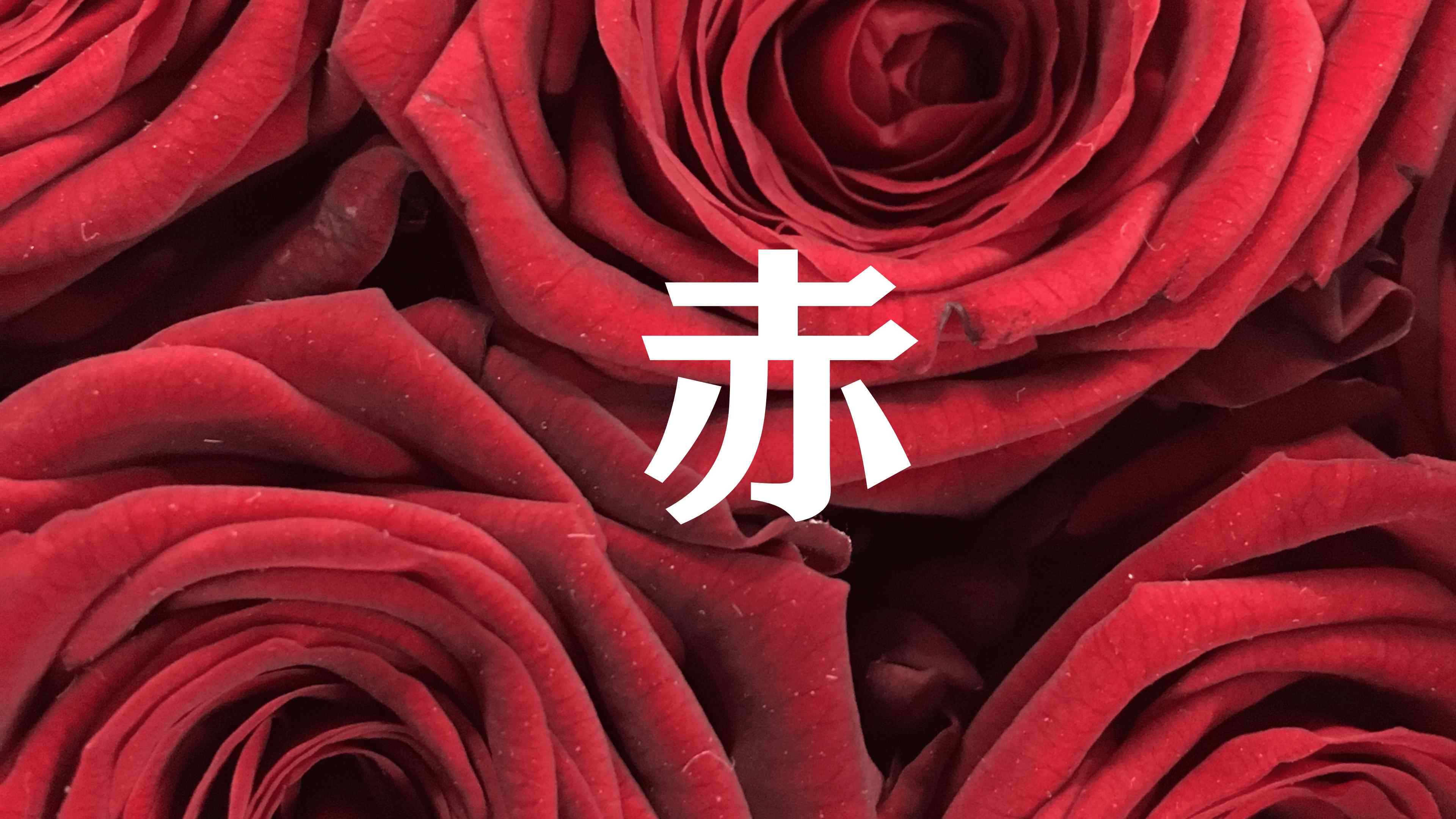 魂を覚醒させ もっと人生を 生きやすくしませんか？ (2160 × 3840 px) (600 × 500 px) (2160 × 3840 px) (3840 × 2160 px) (19).png