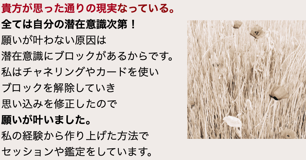 スクリーンショット 2024-08-01 21.49.50.png