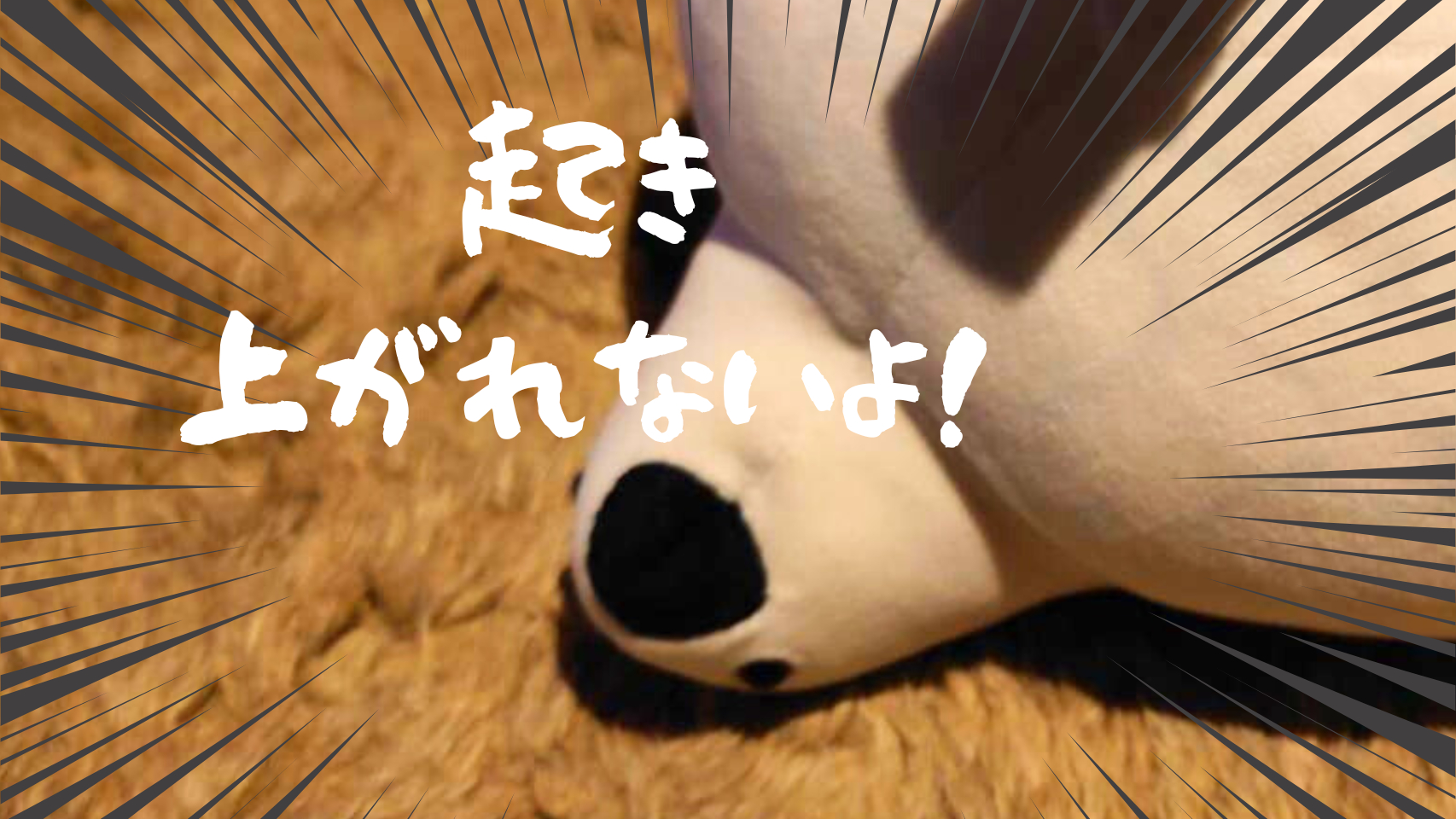 ほ？.png