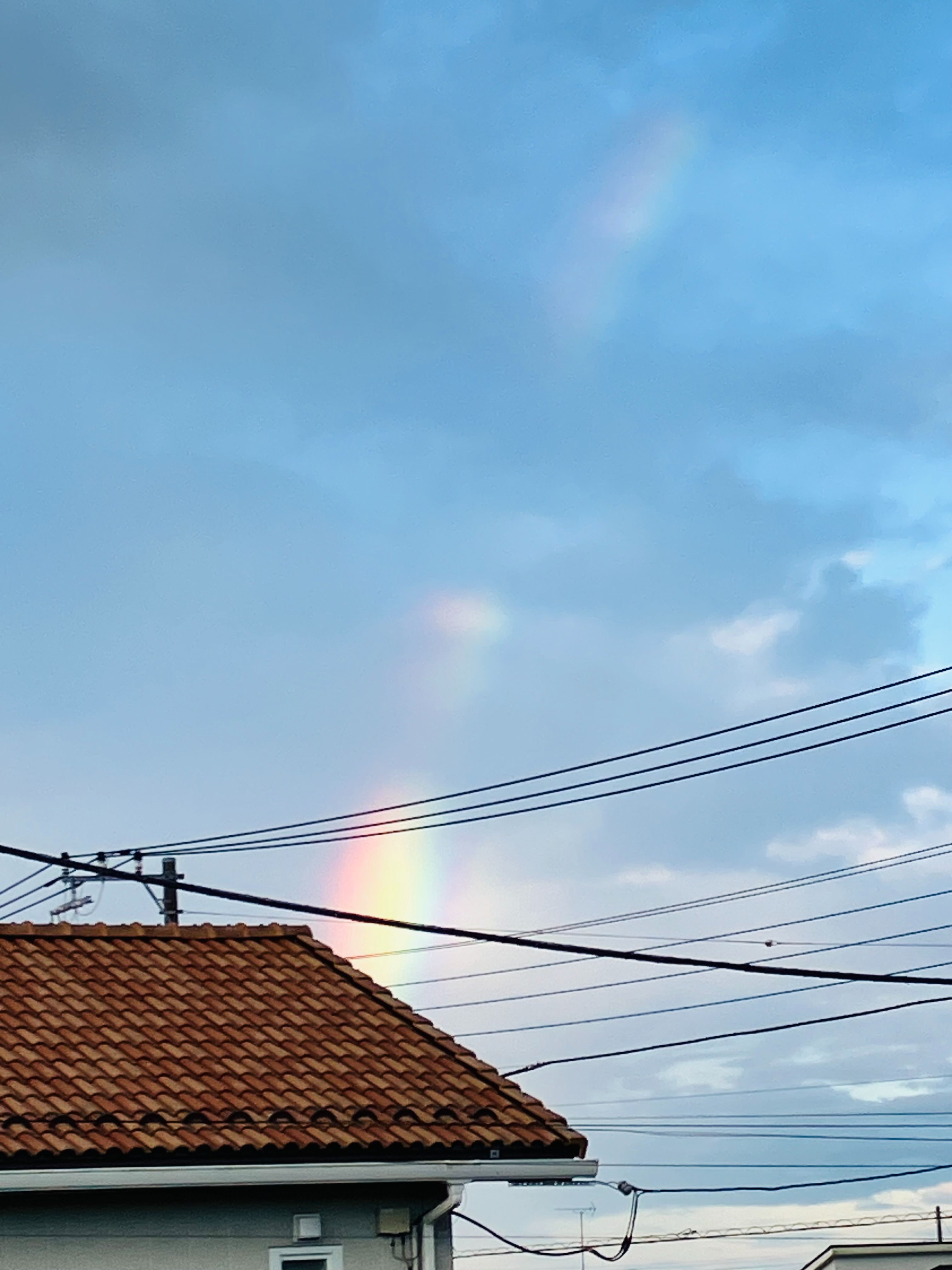 20250801-001.jpg