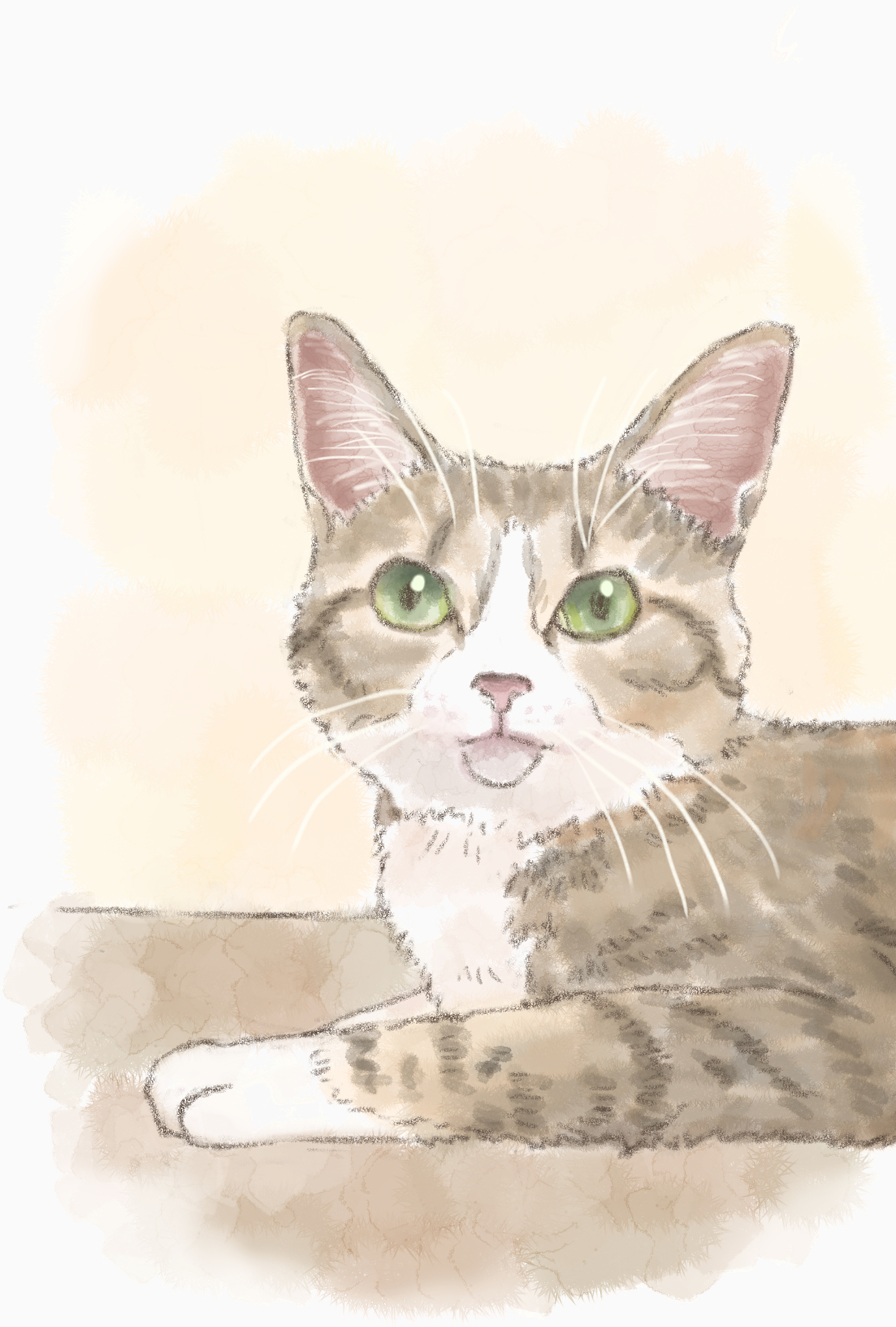 ハガキねこイラスト2.jpg