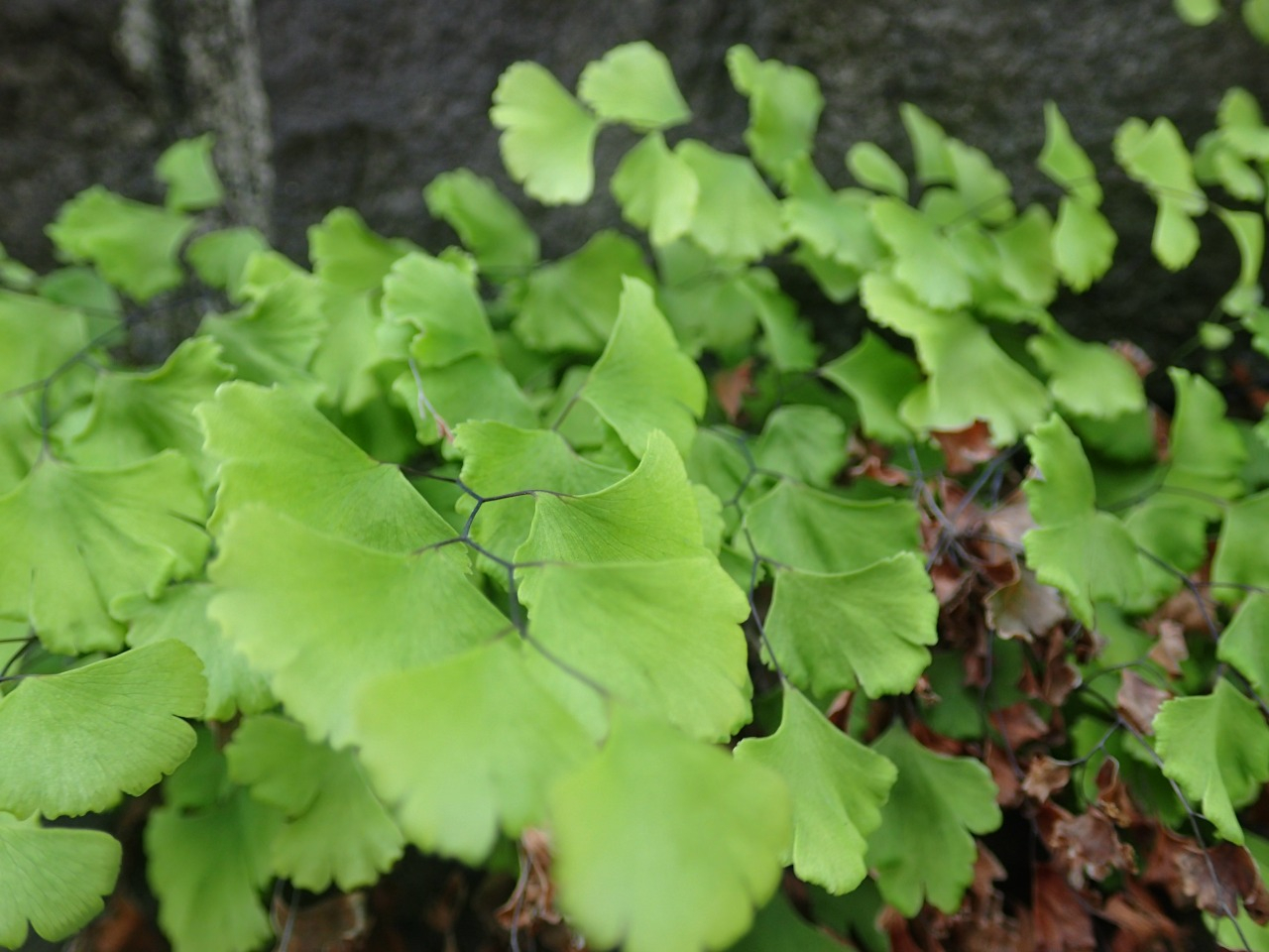 PA140328.JPG