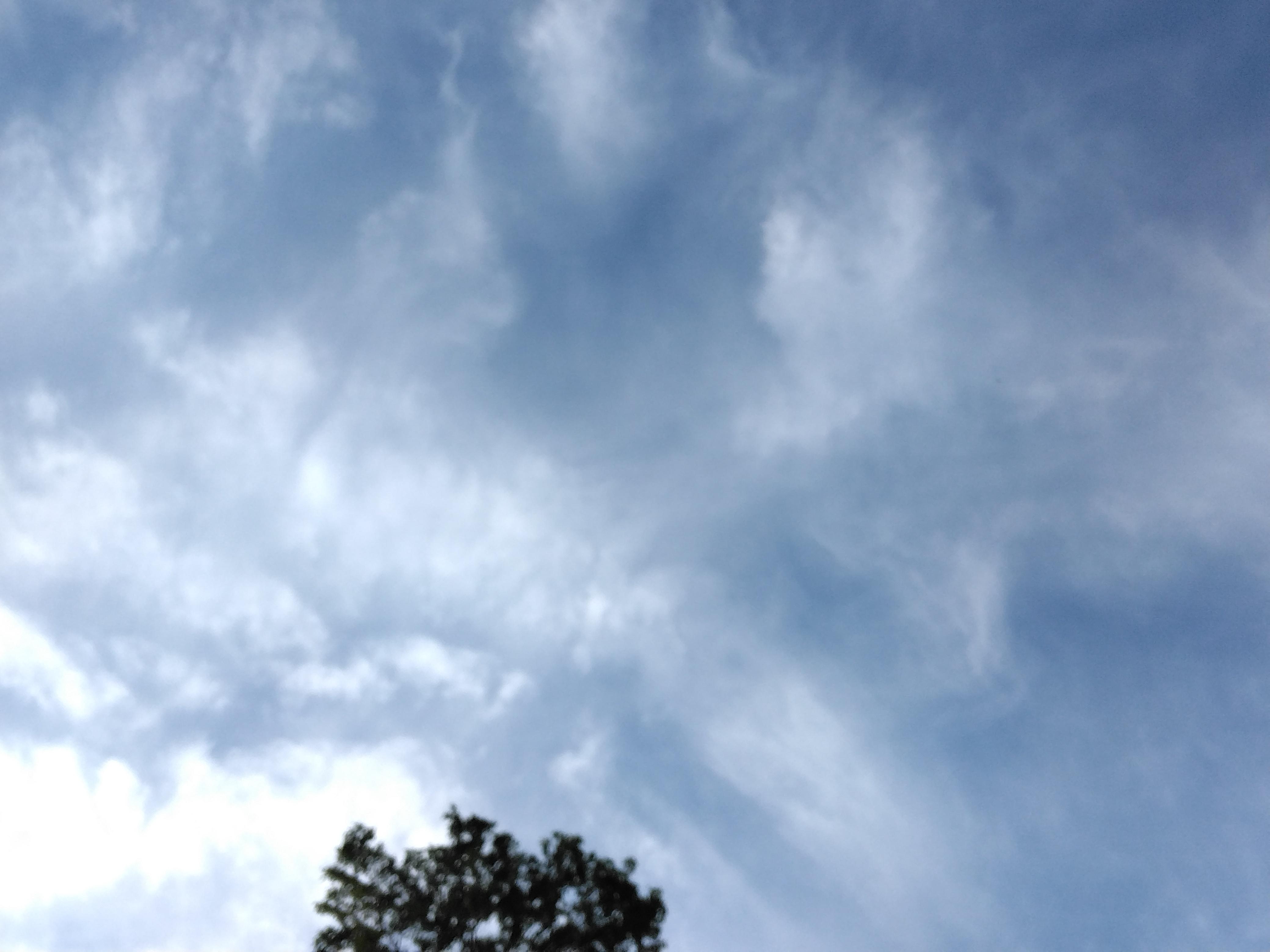 IMG_20260419_172630.jpg