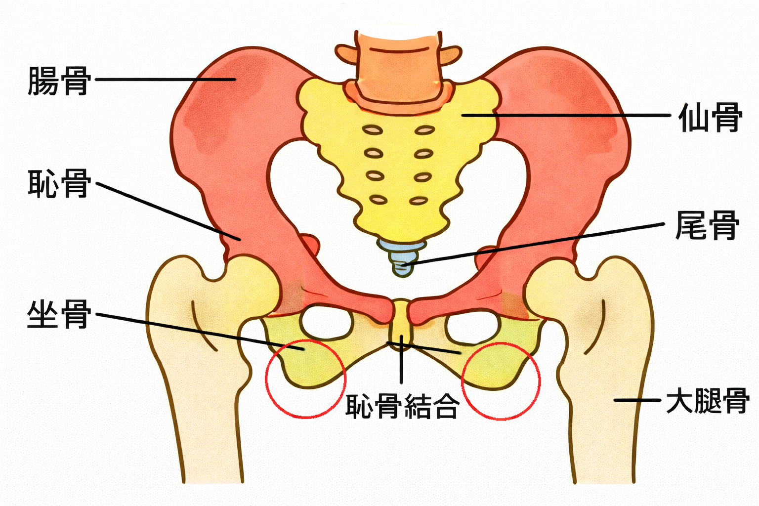 ChatGPT Image 2026年3月29日 23_00_20.png
