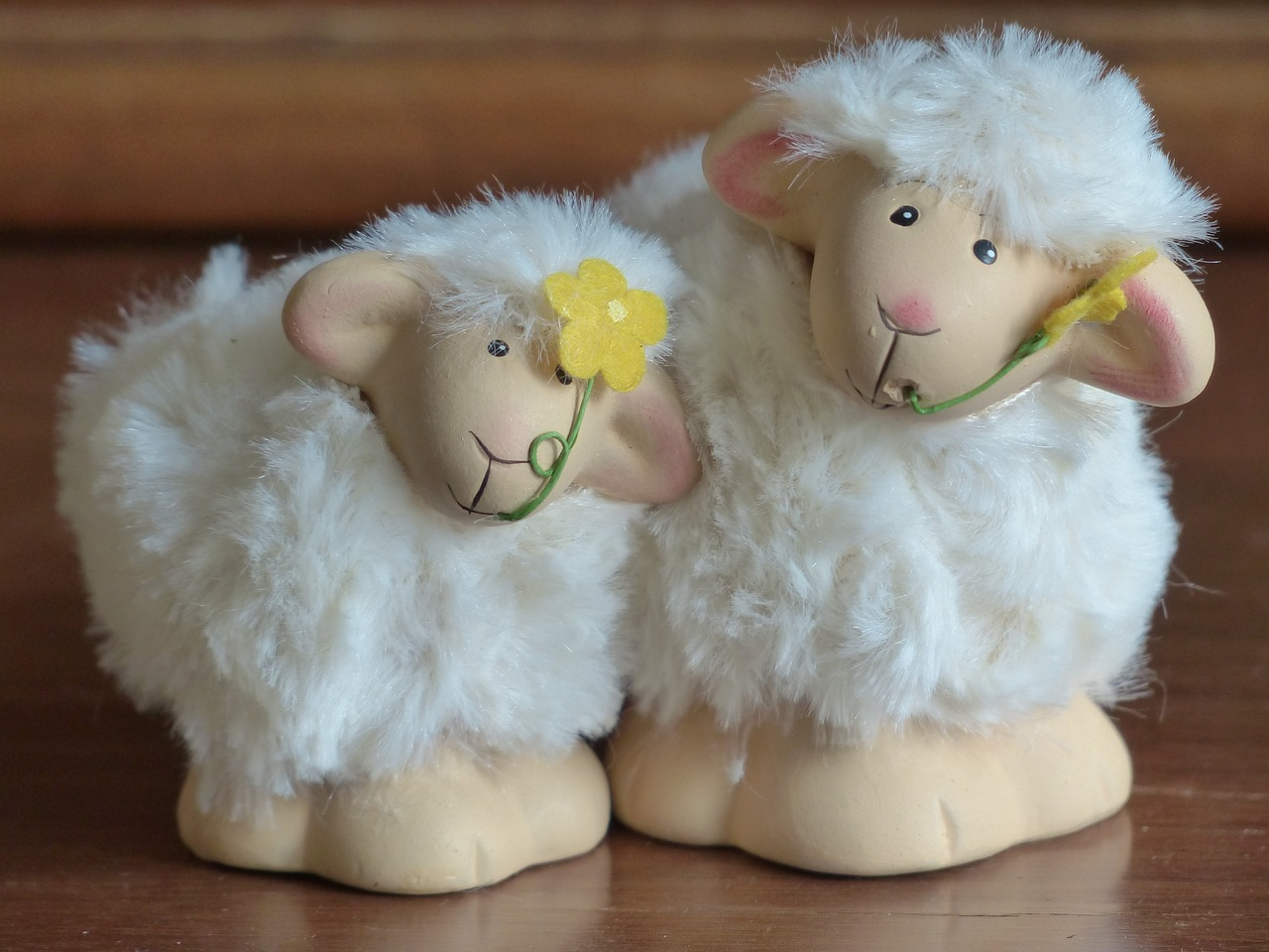 sheep-100192_1280.jpg