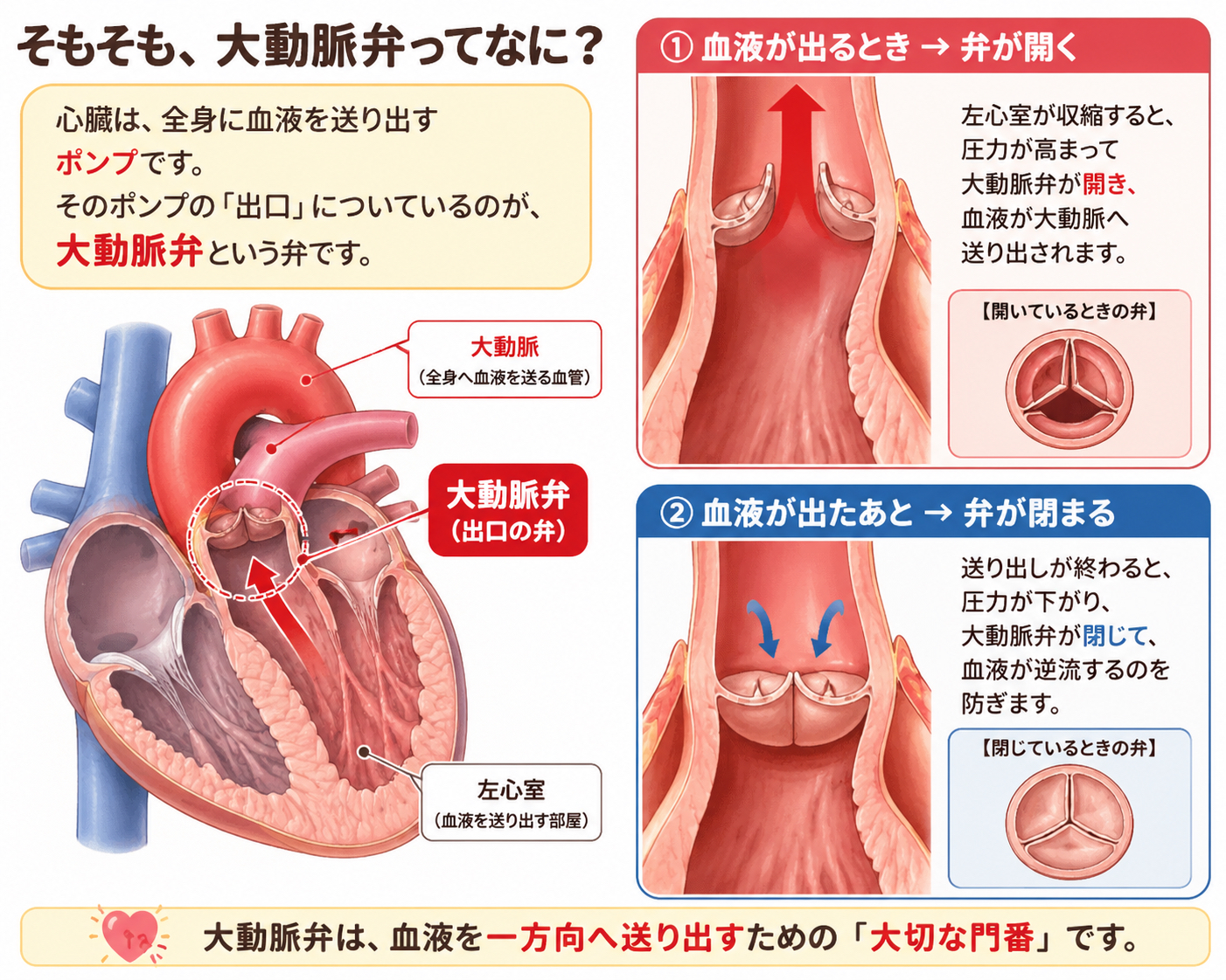 71c422ed-4300-462d-a693-9c248e2bba43.png