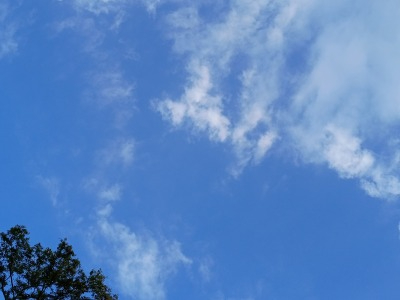 IMG_20261015_072355365.jpg