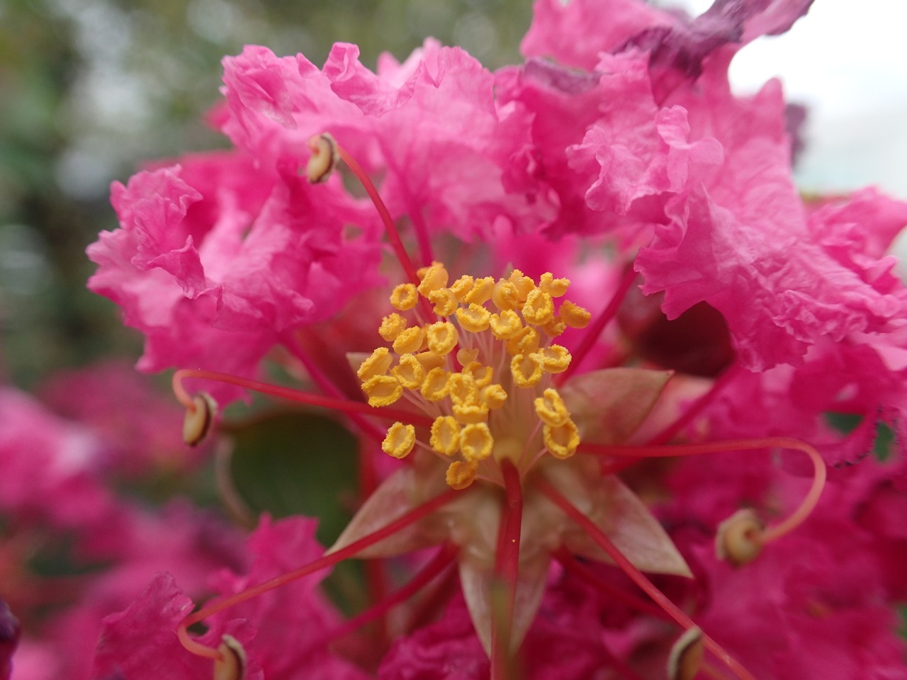 PA050259.JPG