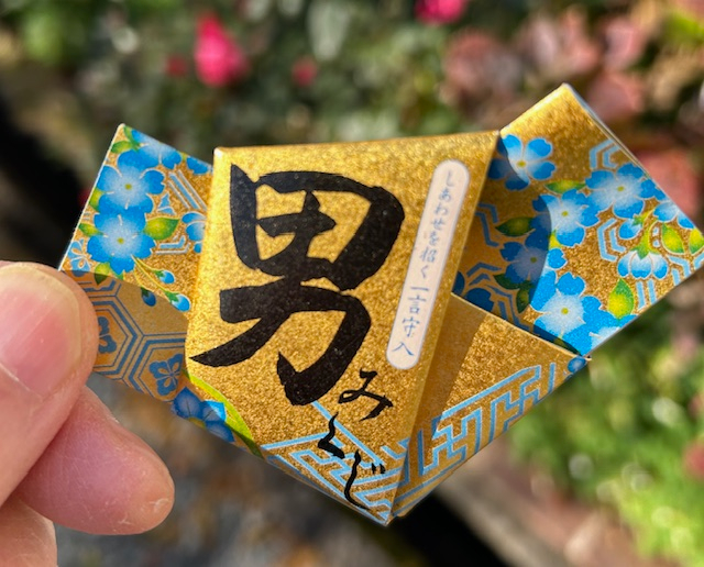 おみくじ.jpg