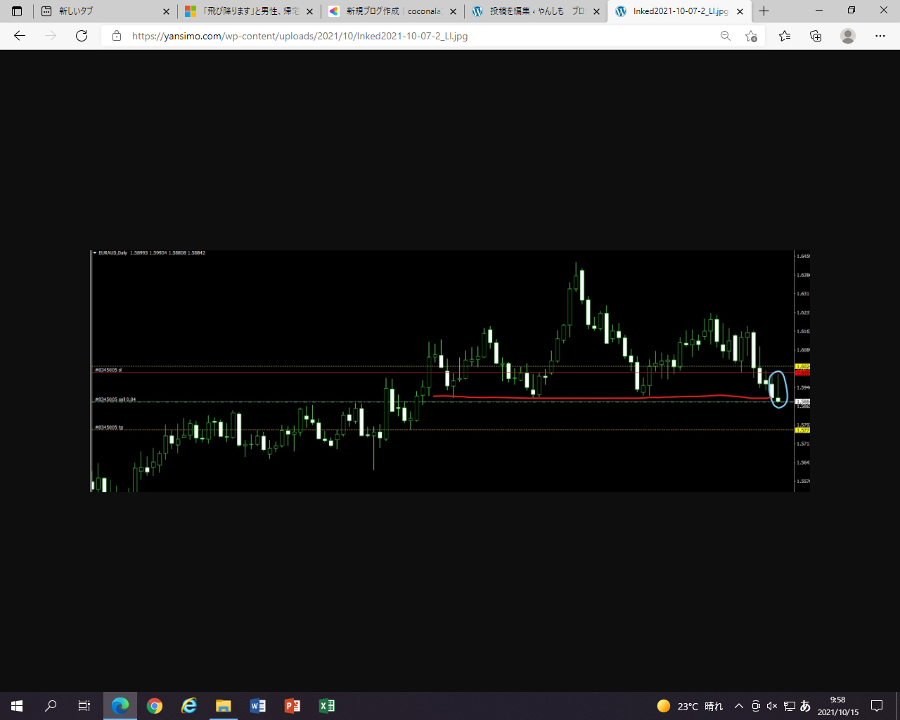 スクリーンショット (52).png